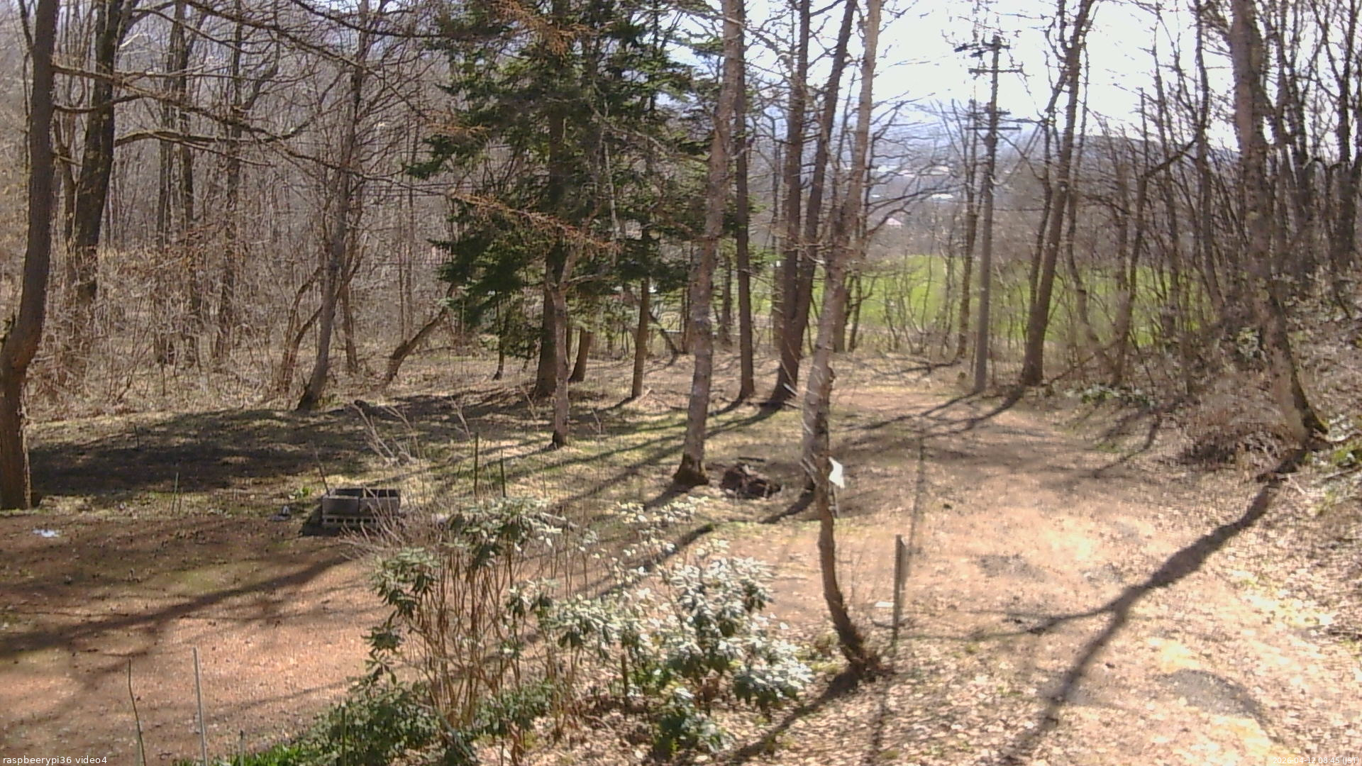 長野県菅平高原 ゆたか山荘 坂上 2026/04/12 08:45