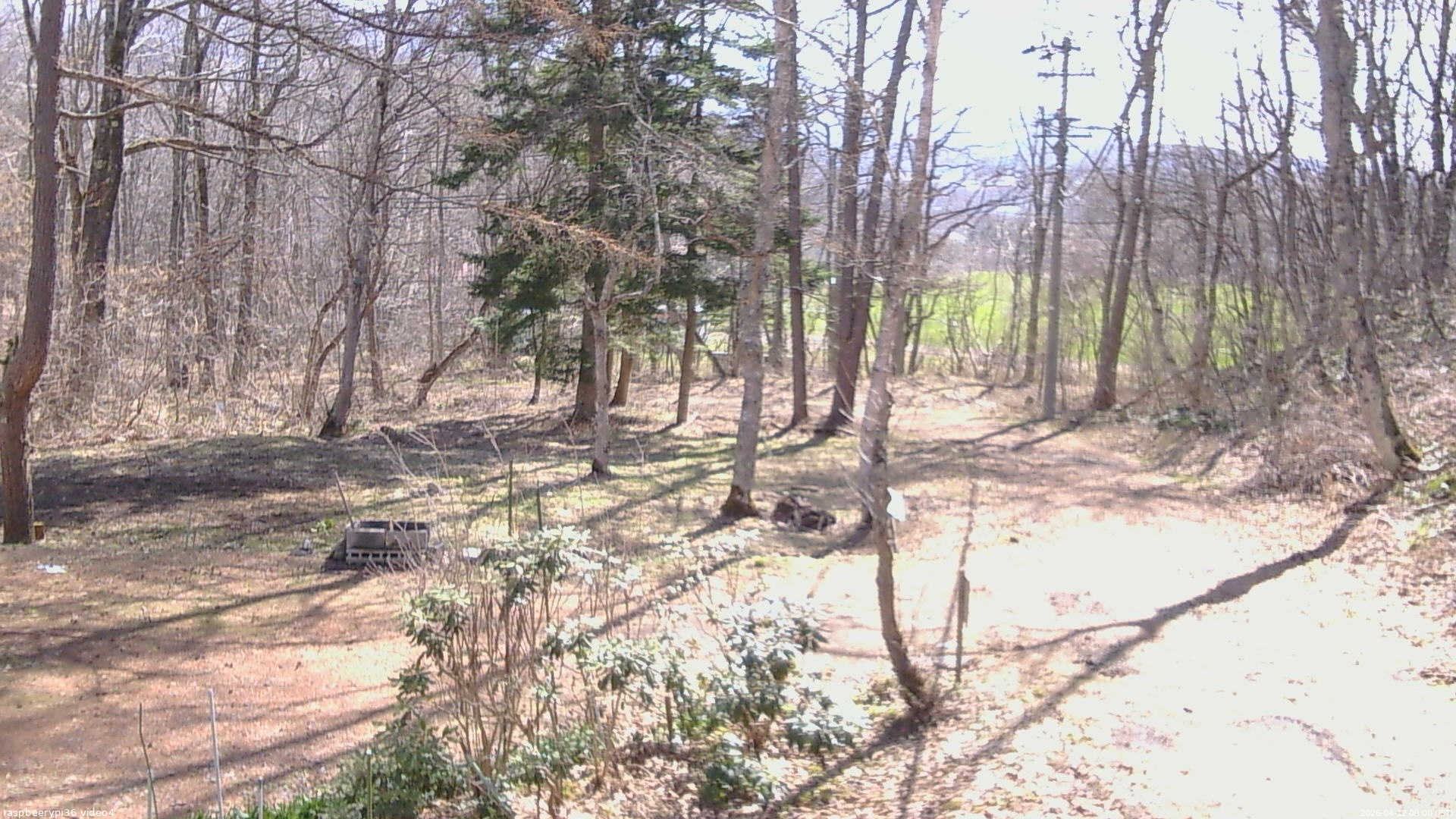 長野県菅平高原 ゆたか山荘 坂上 2026/04/12 09:00