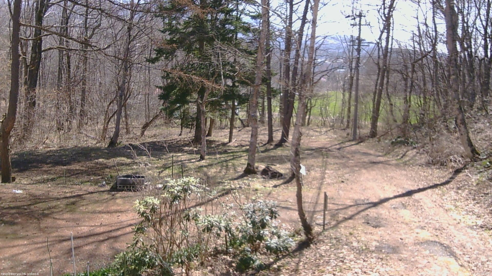 長野県菅平高原 ゆたか山荘 坂上 2026/04/12 09:15
