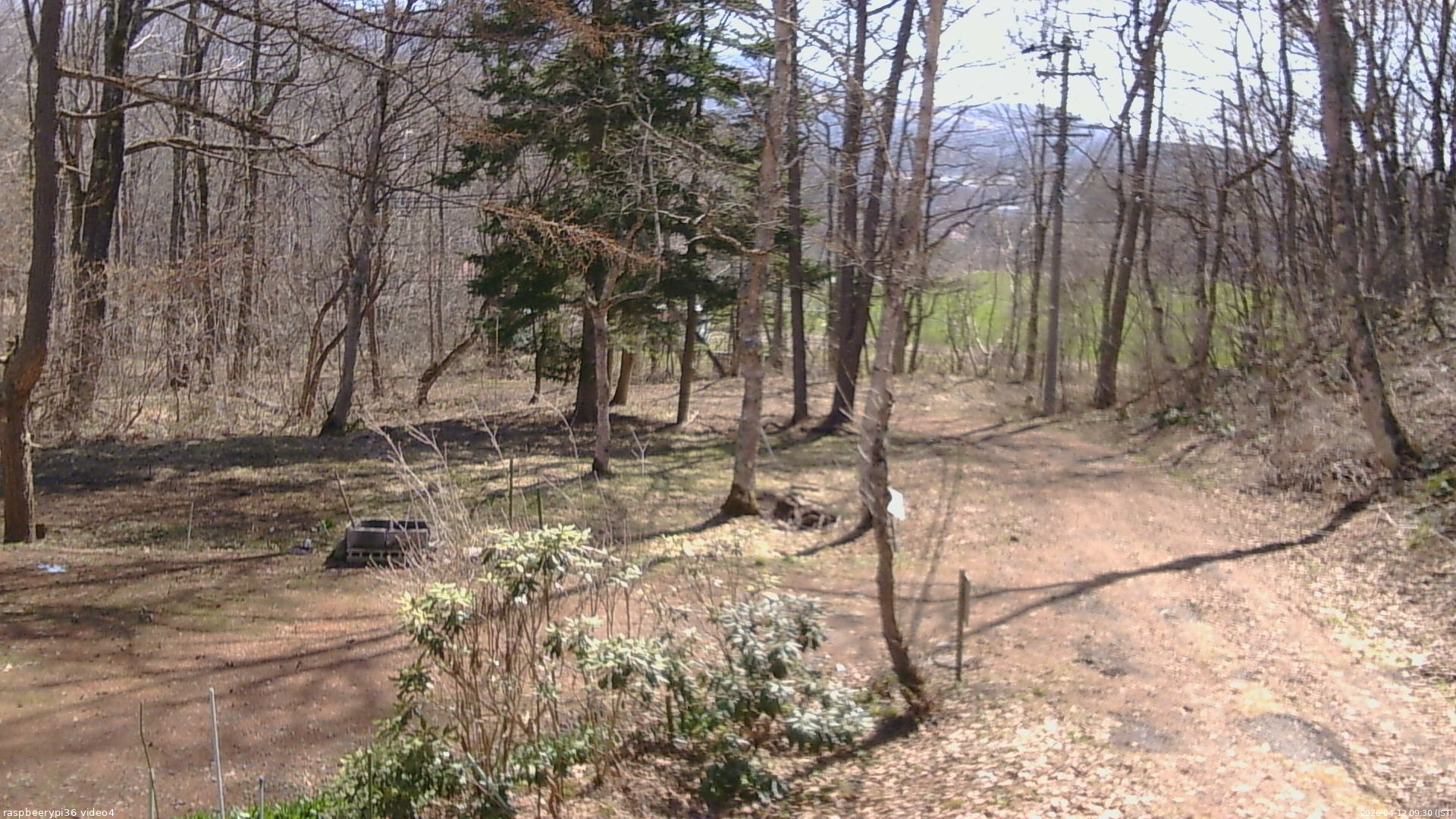 長野県菅平高原 ゆたか山荘 坂上 2026/04/12 09:30