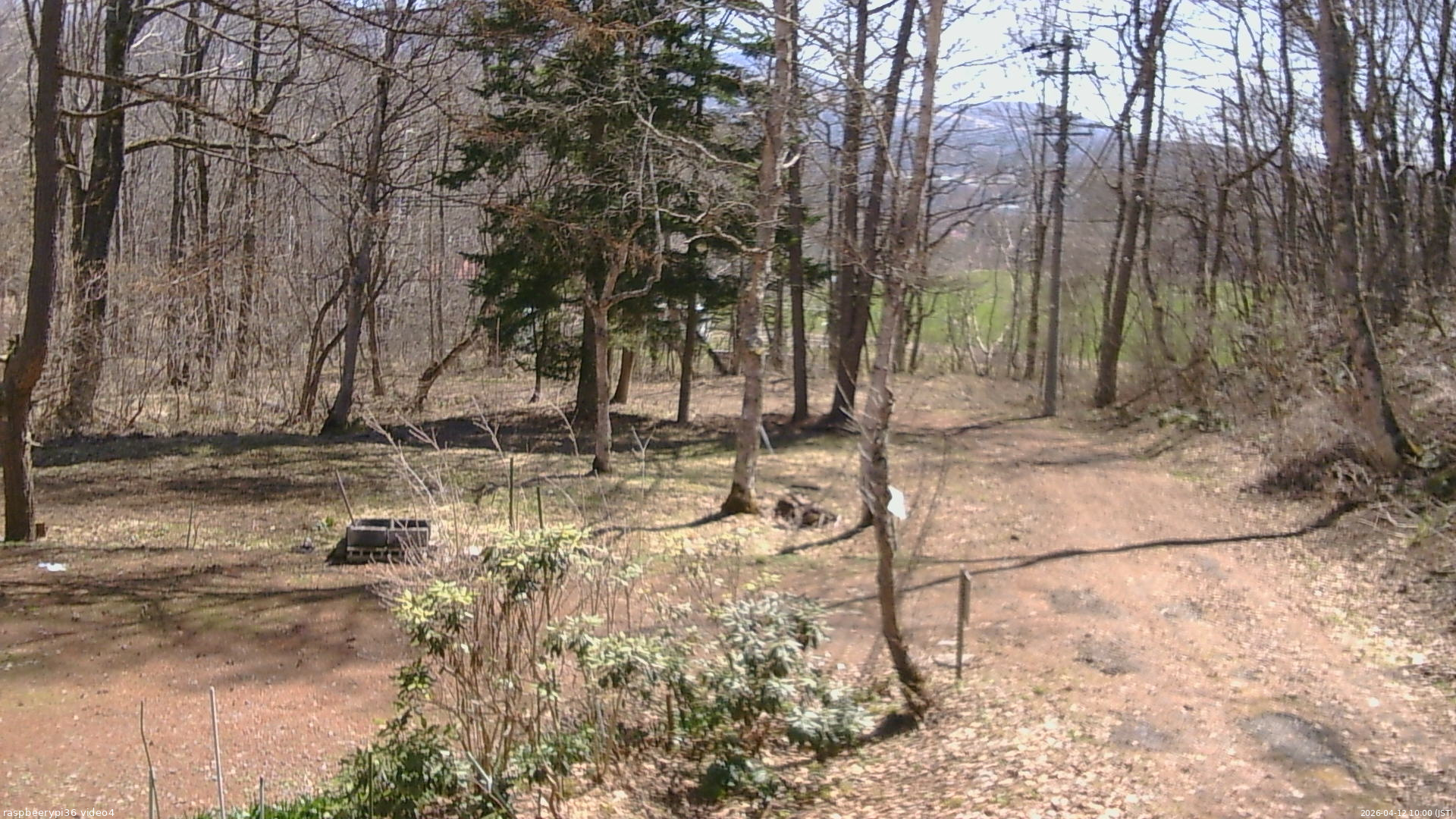 長野県菅平高原 ゆたか山荘 坂上 2026/04/12 10:00