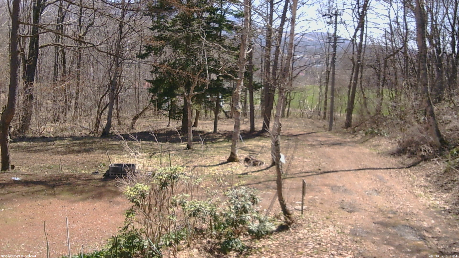 長野県菅平高原 ゆたか山荘 坂上 2026/04/12 10:15