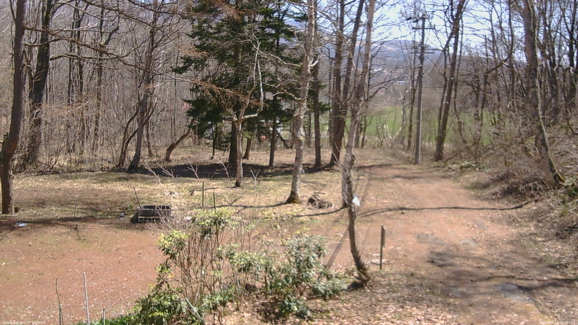 長野県菅平高原 ゆたか山荘 坂上 2026/04/12 10:45
