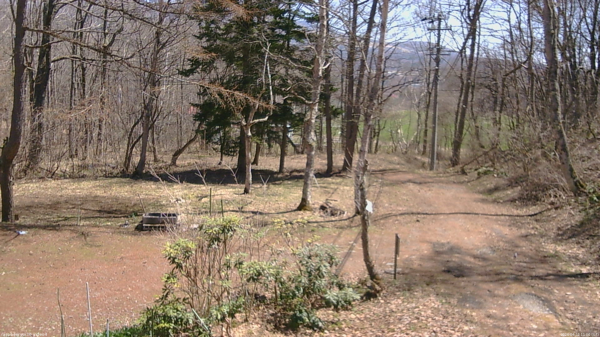 長野県菅平高原 ゆたか山荘 坂上 2026/04/12 11:00