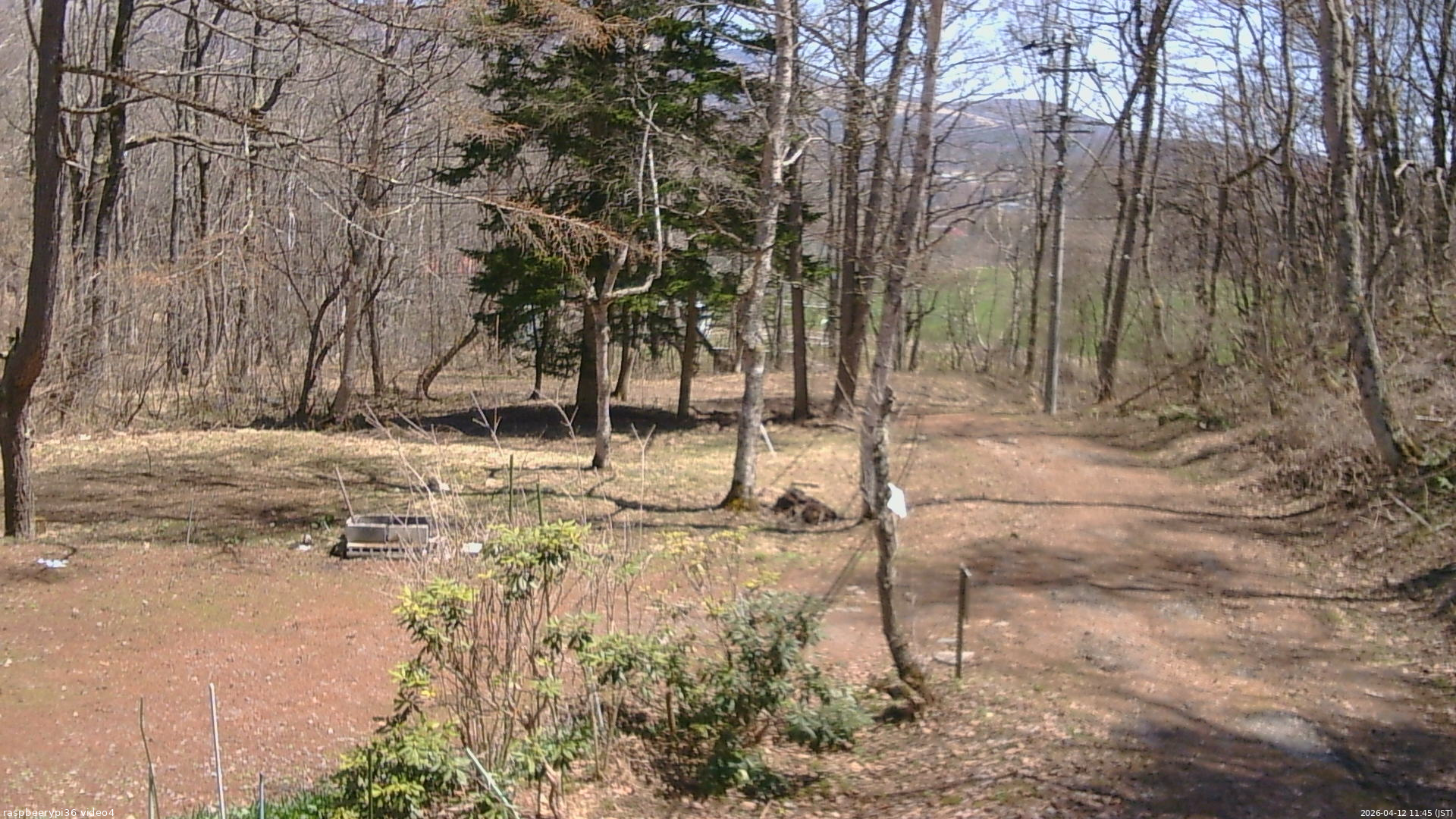 長野県菅平高原 ゆたか山荘 坂上 2026/04/12 11:45