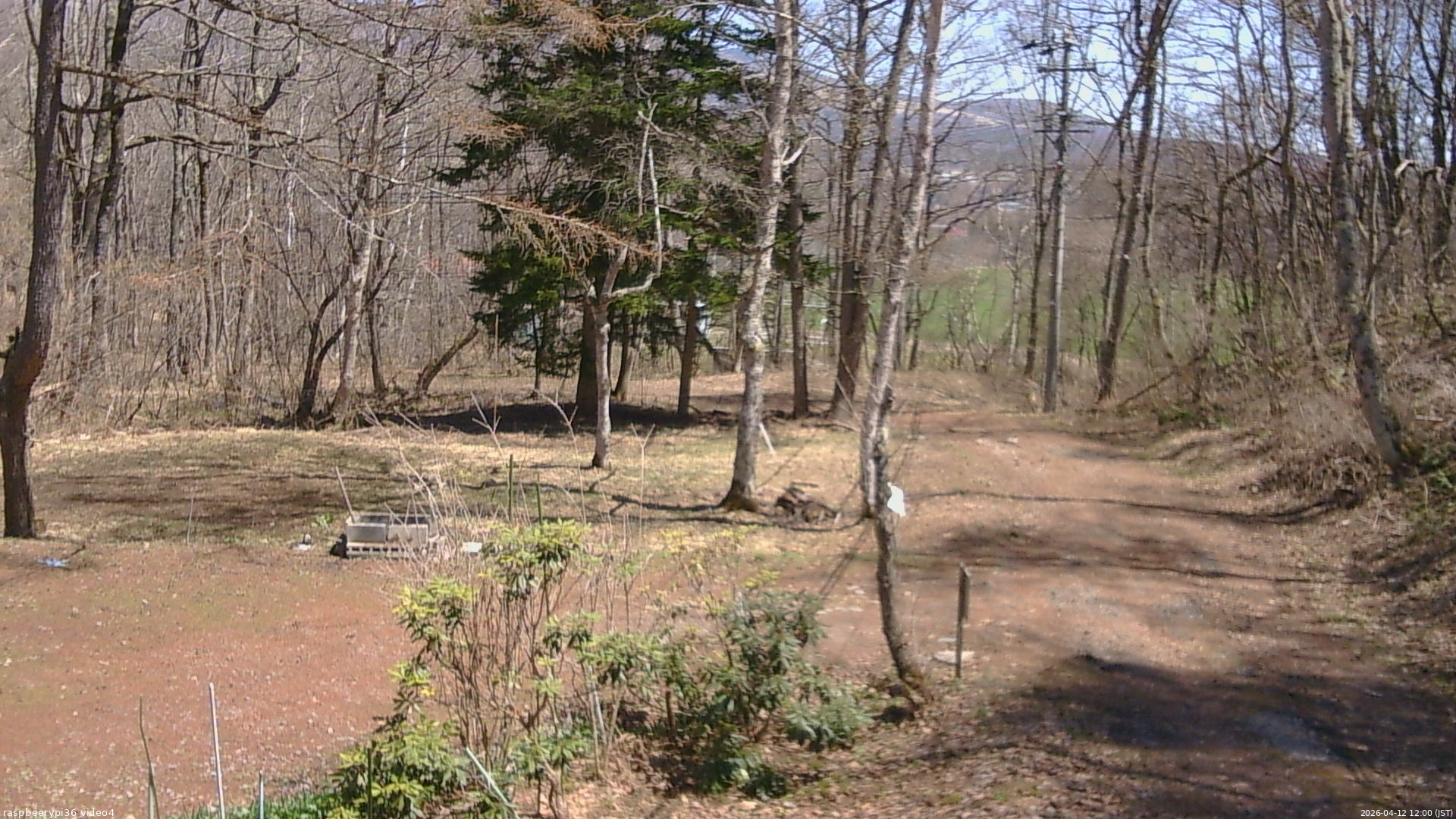 長野県菅平高原 ゆたか山荘 坂上 2026/04/12 12:00