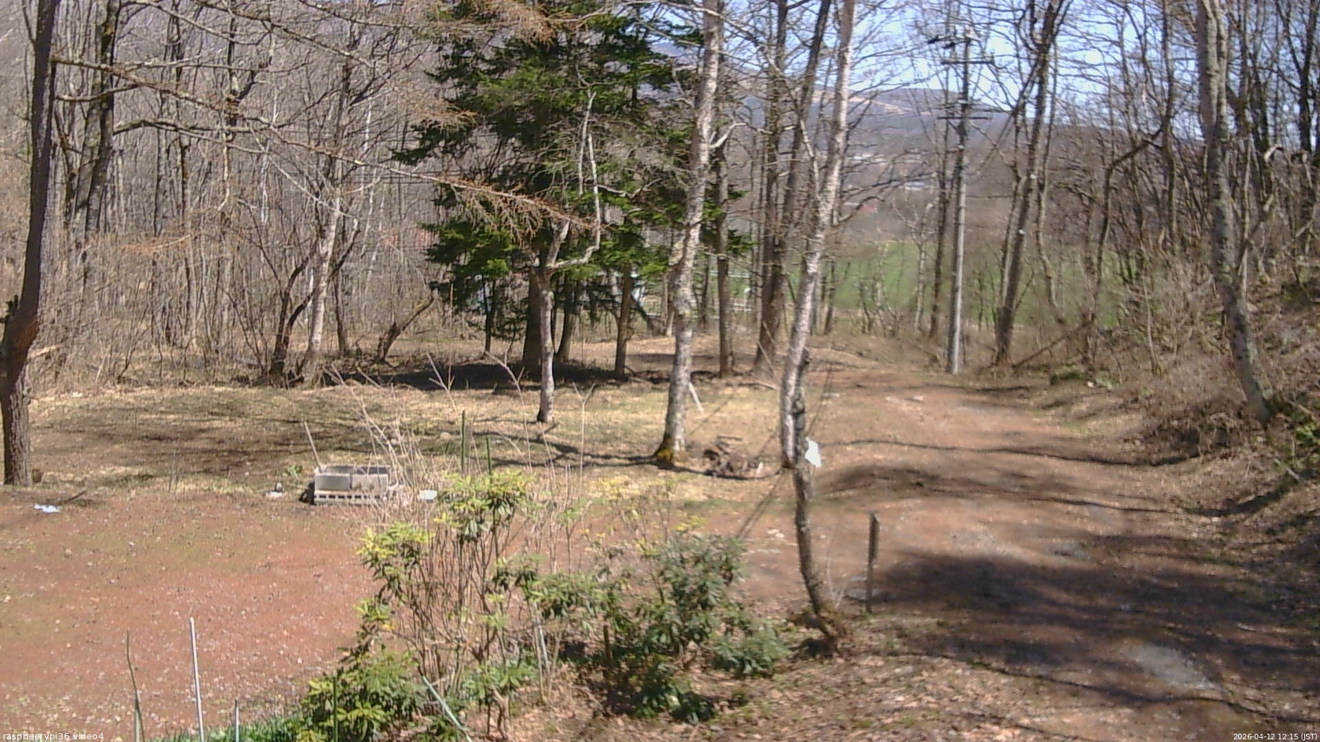 長野県菅平高原 ゆたか山荘 坂上 2026/04/12 12:15