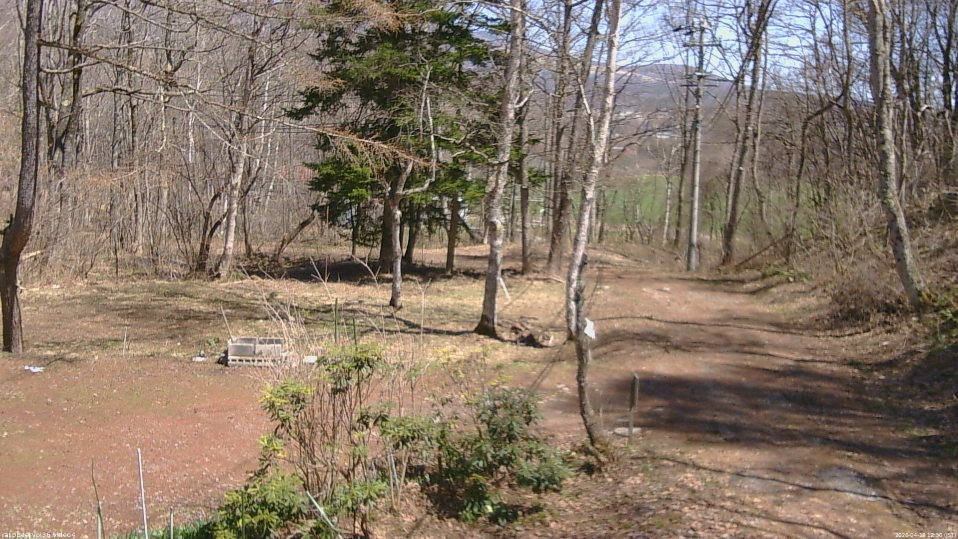 長野県菅平高原 ゆたか山荘 坂上 2026/04/12 12:30