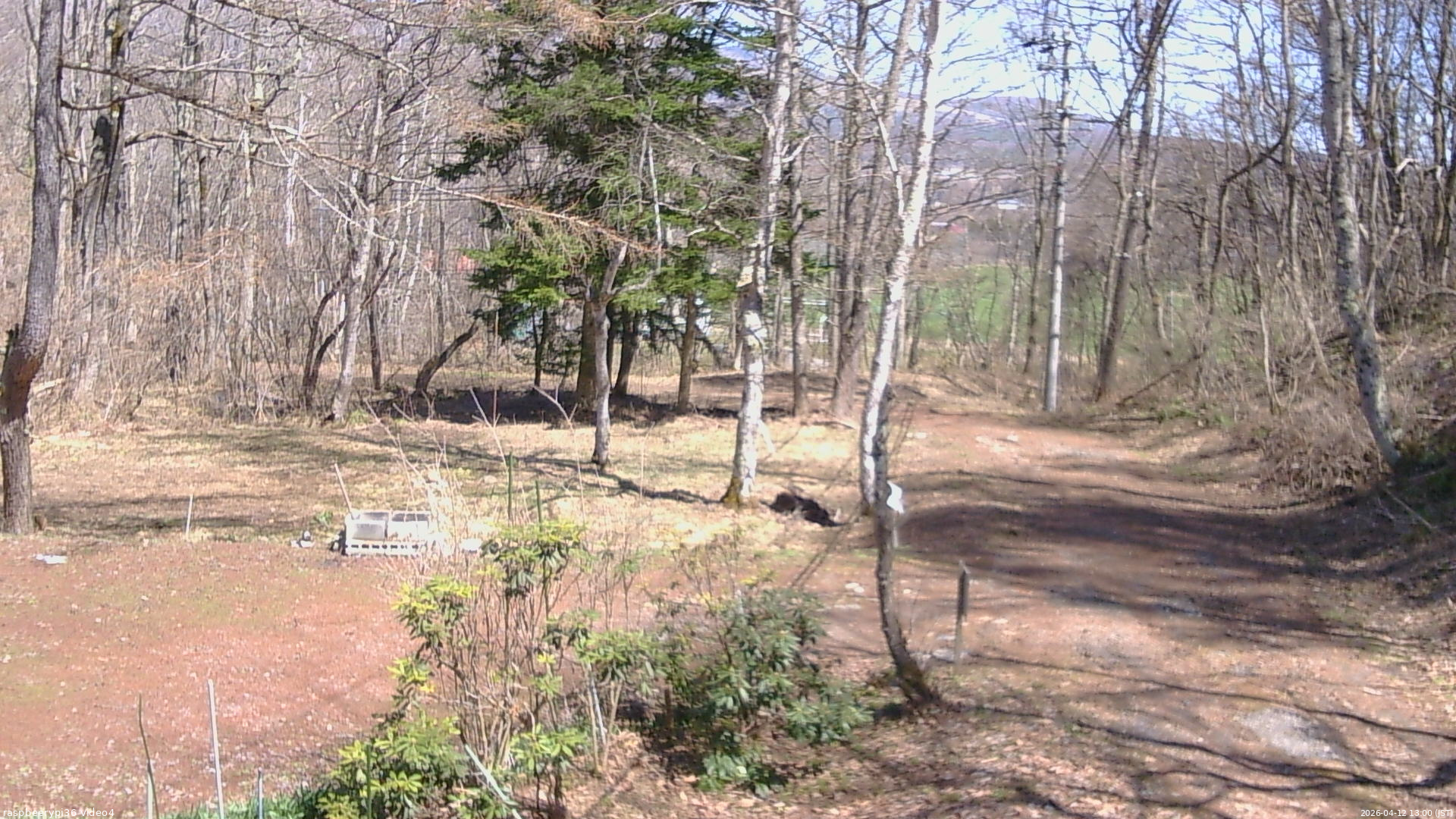 長野県菅平高原 ゆたか山荘 坂上 2026/04/12 13:00