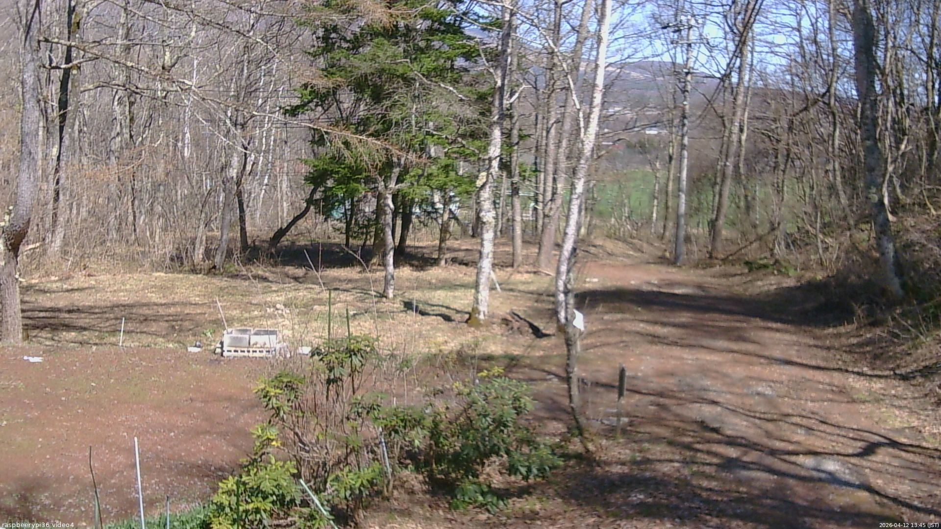 長野県菅平高原 ゆたか山荘 坂上 2026/04/12 13:45