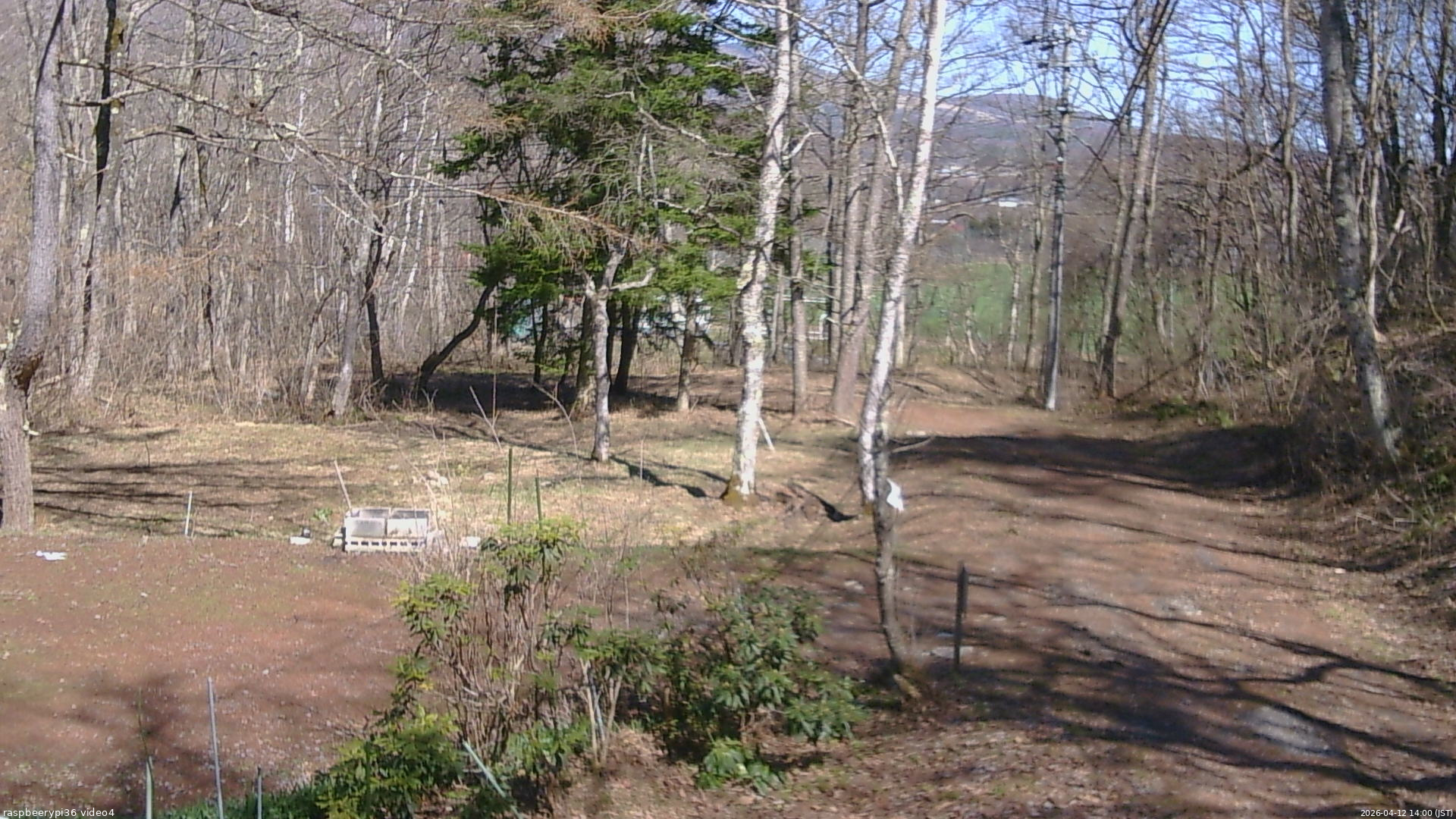 長野県菅平高原 ゆたか山荘 坂上 2026/04/12 14:00