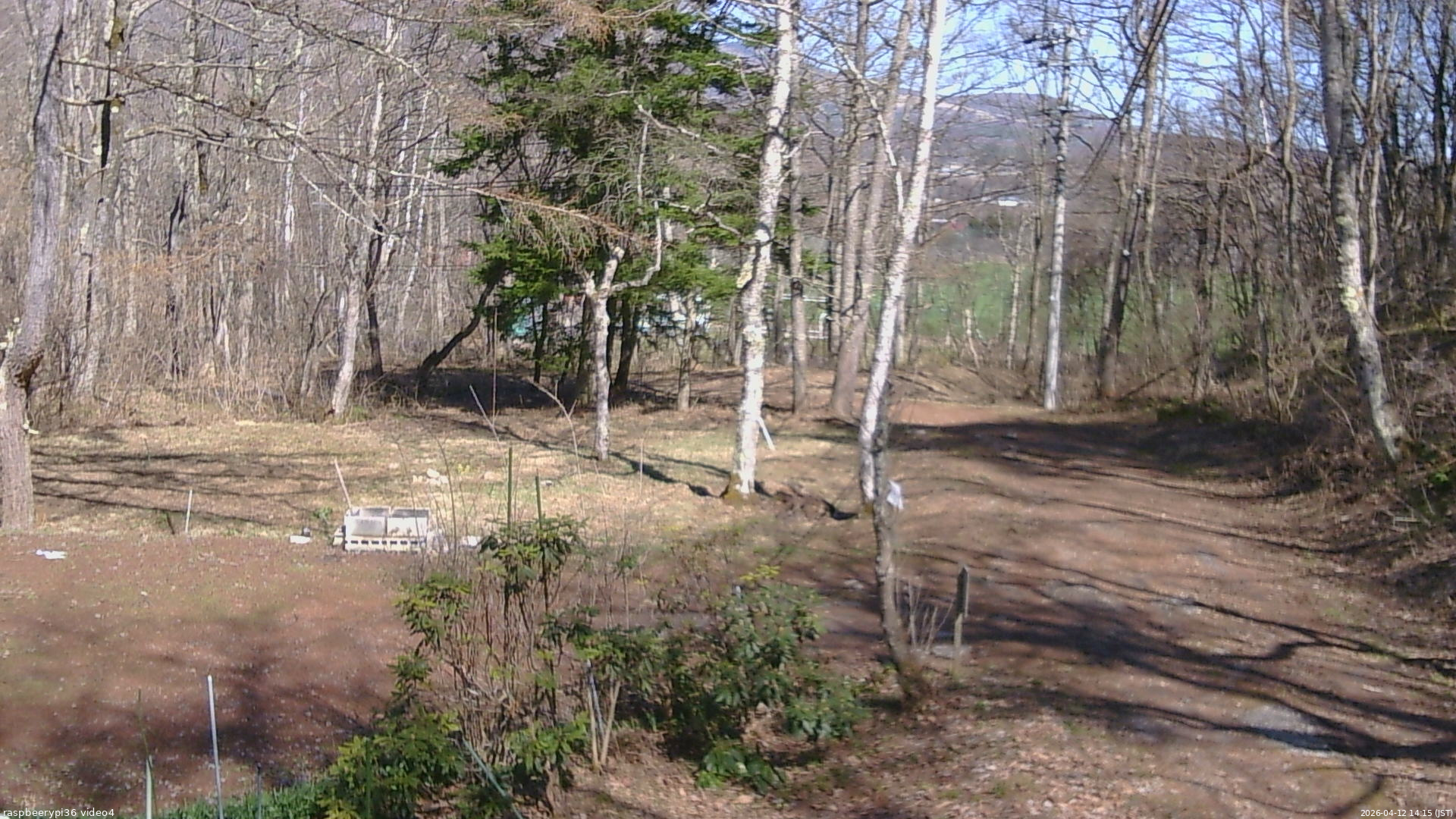 長野県菅平高原 ゆたか山荘 坂上 2026/04/12 14:15