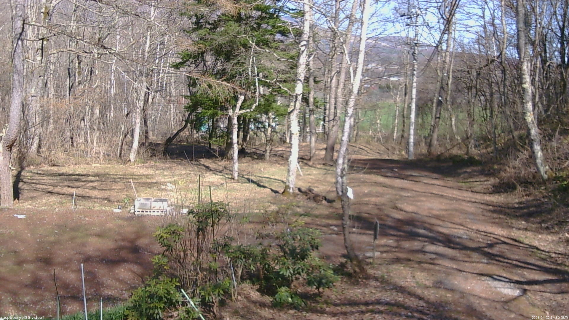 長野県菅平高原 ゆたか山荘 坂上 2026/04/12 14:30