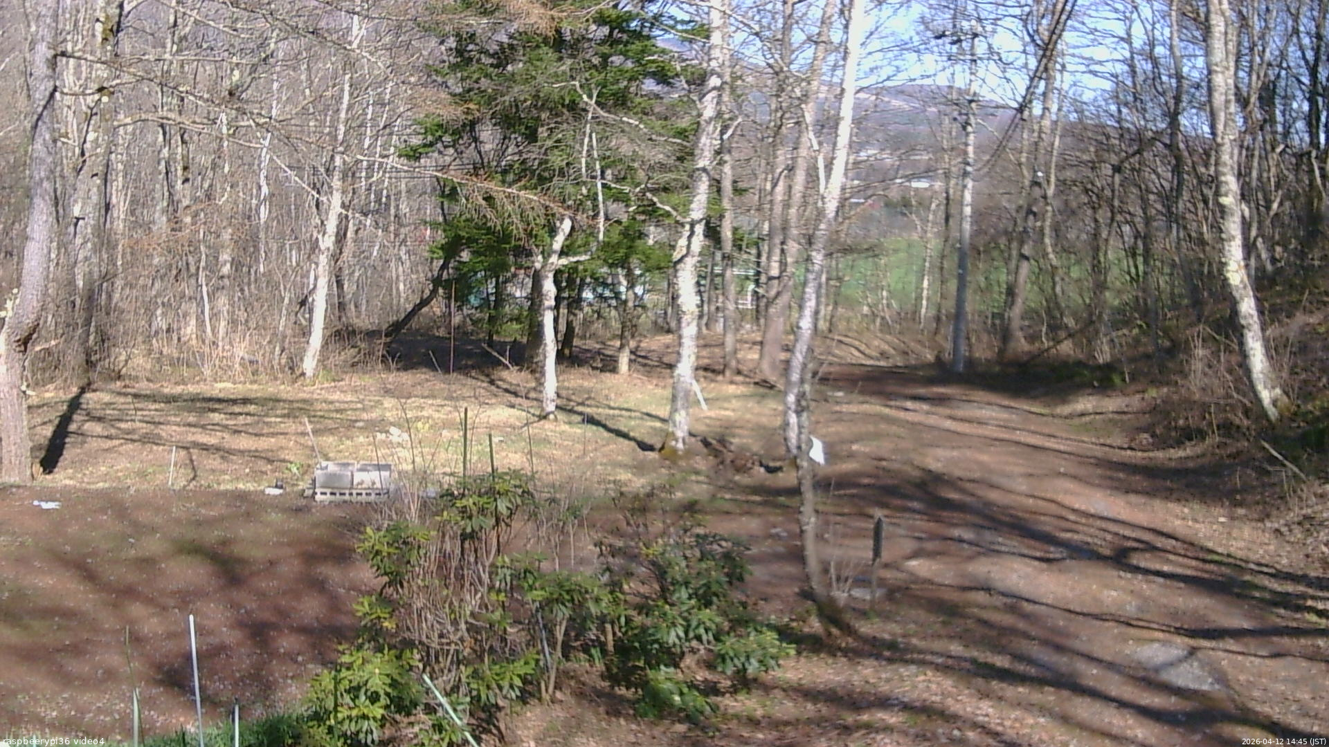 長野県菅平高原 ゆたか山荘 坂上 2026/04/12 14:45