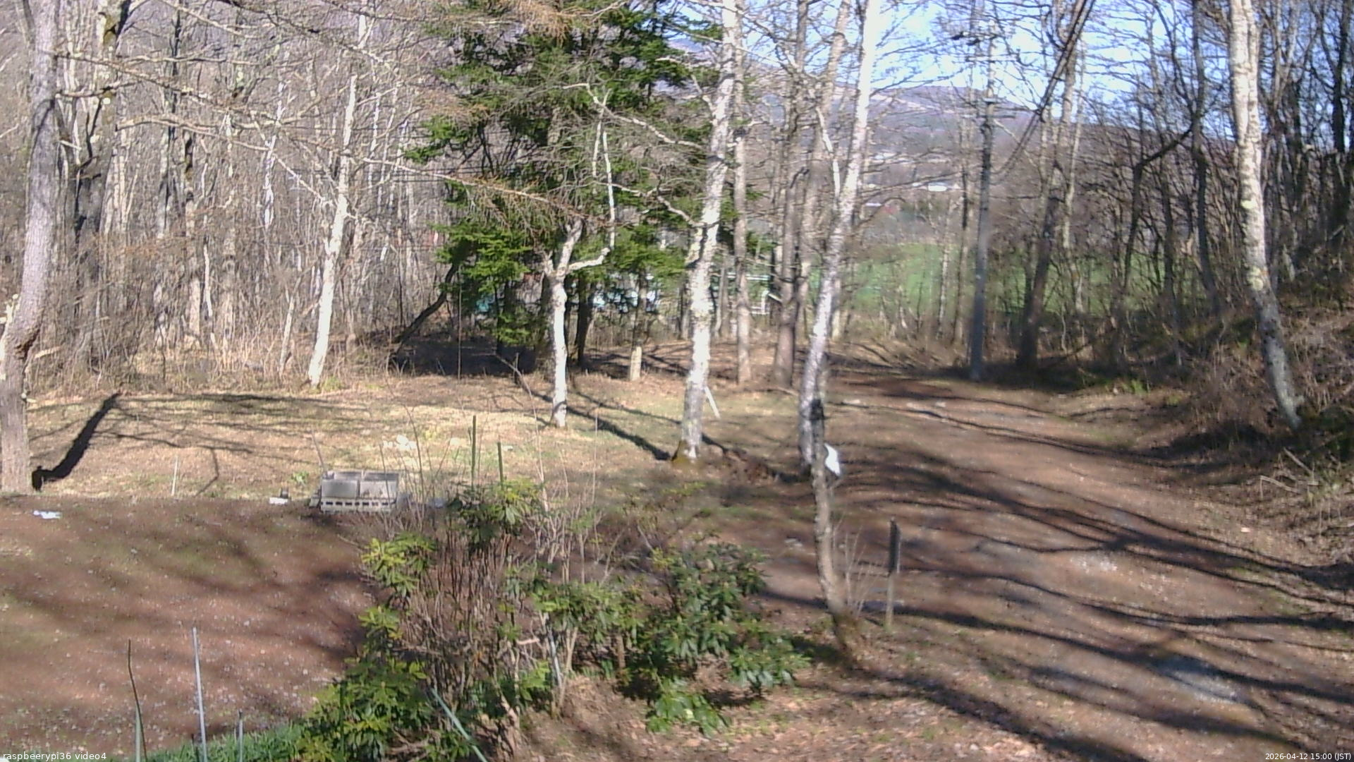 長野県菅平高原 ゆたか山荘 坂上 2026/04/12 15:00