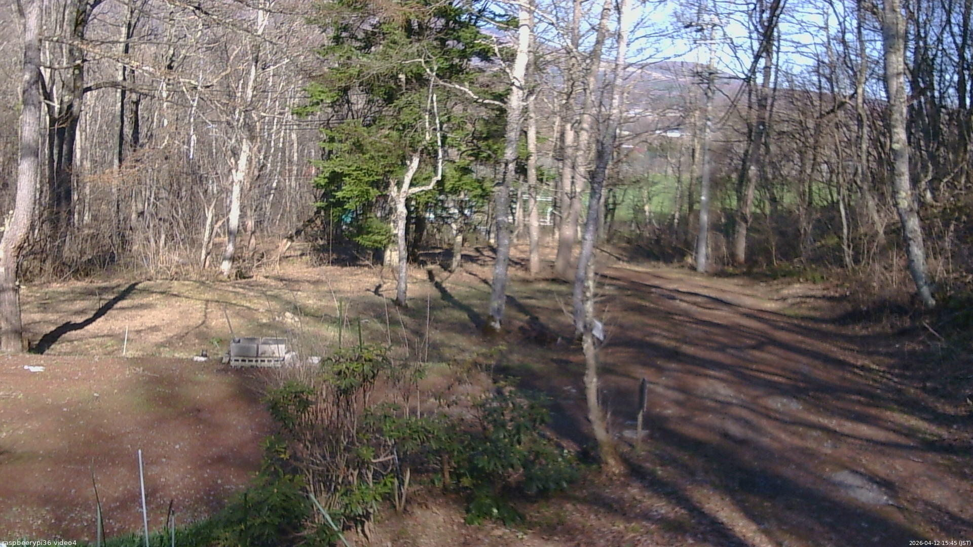 長野県菅平高原 ゆたか山荘 坂上 2026/04/12 15:45