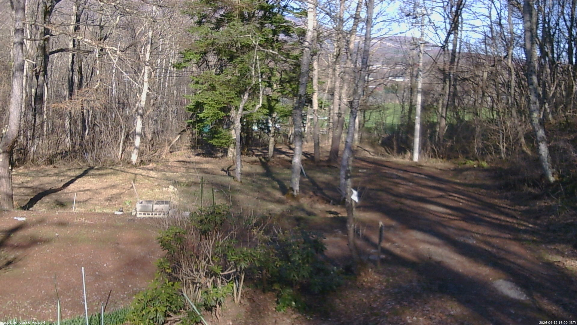 長野県菅平高原 ゆたか山荘 坂上 2026/04/12 16:00