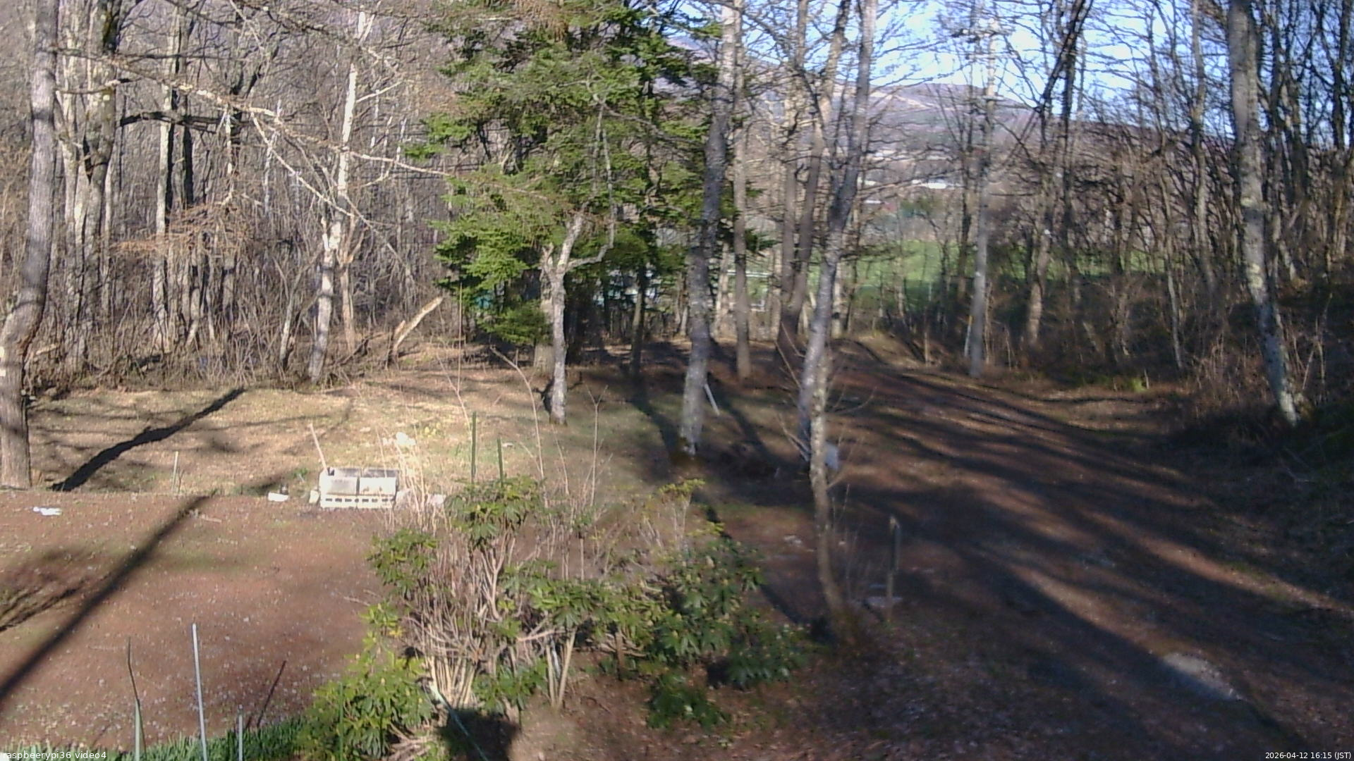 長野県菅平高原 ゆたか山荘 坂上 2026/04/12 16:15