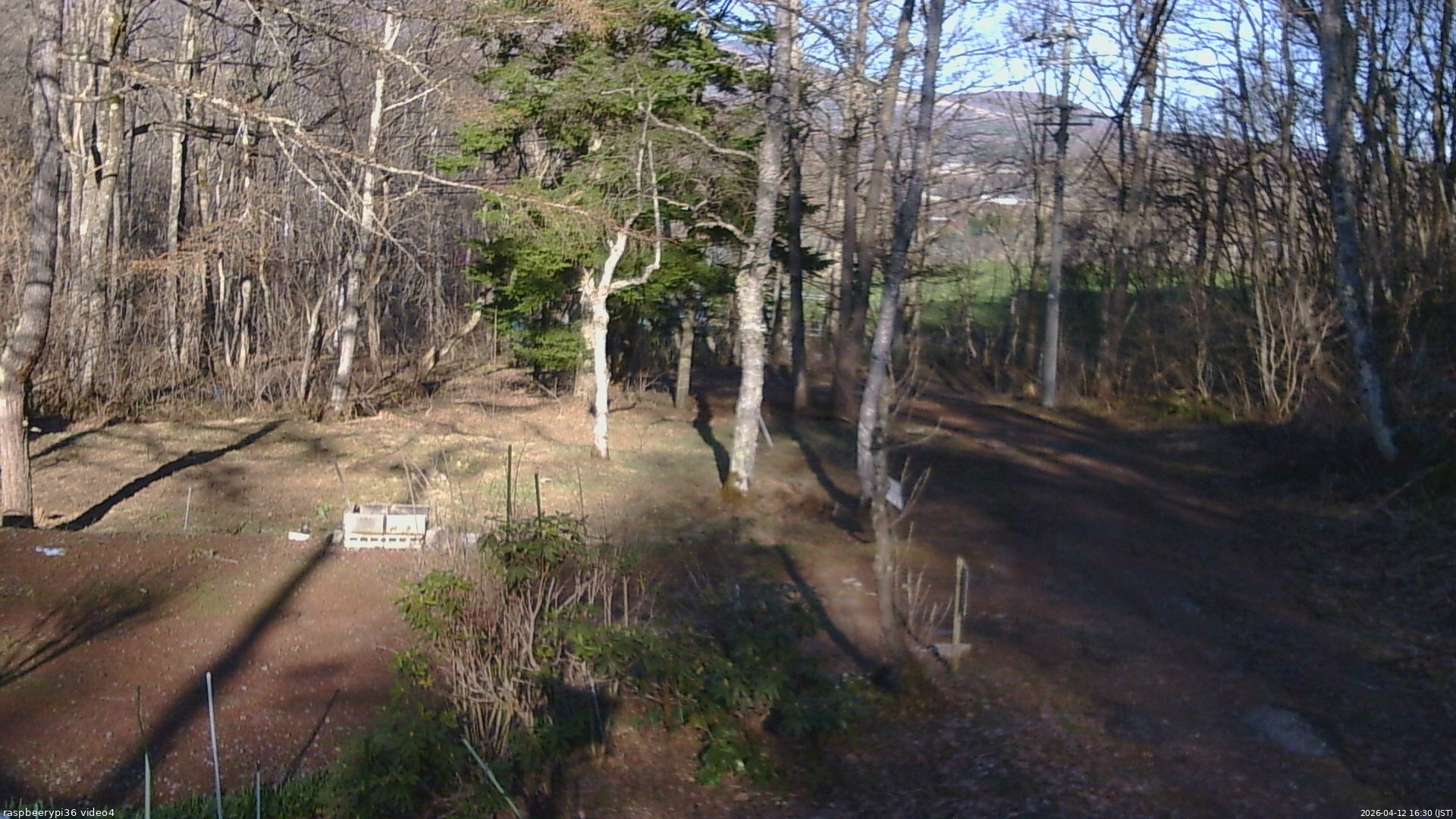 長野県菅平高原 ゆたか山荘 坂上 2026/04/12 16:30