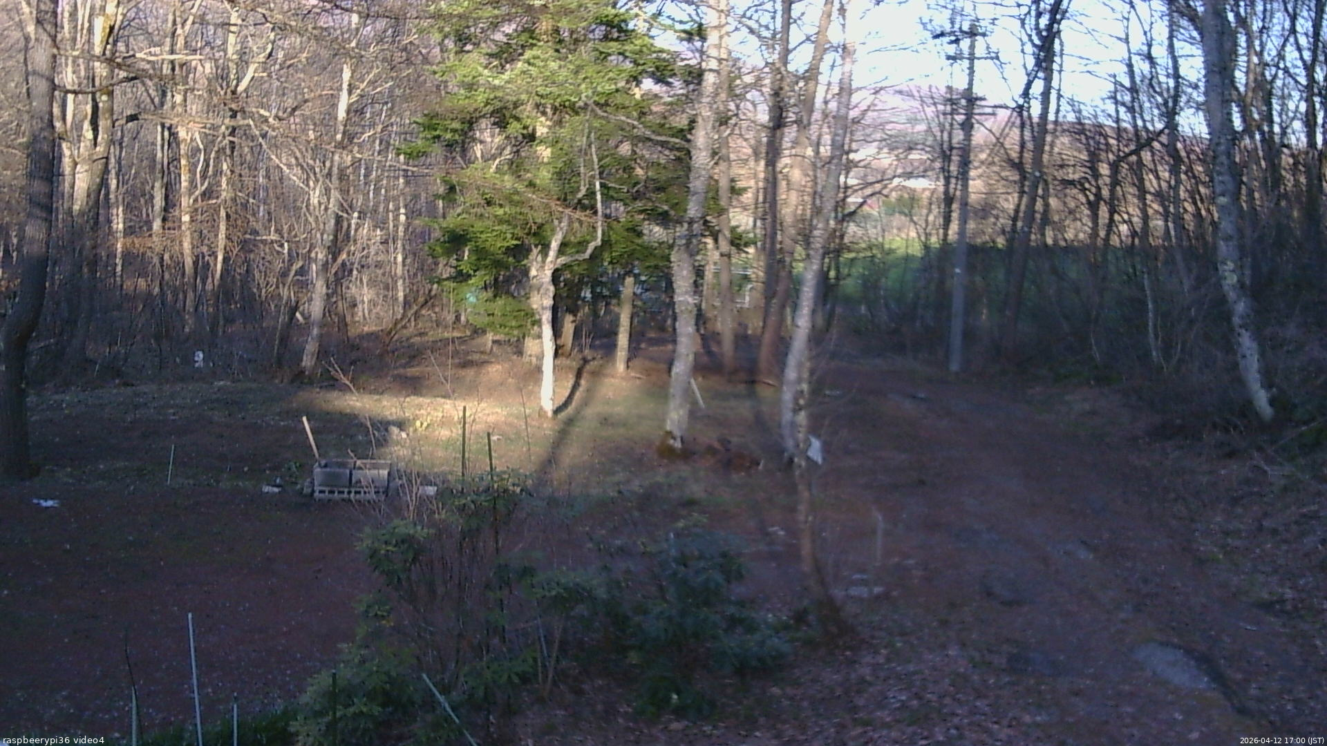 長野県菅平高原 ゆたか山荘 坂上 2026/04/12 17:00