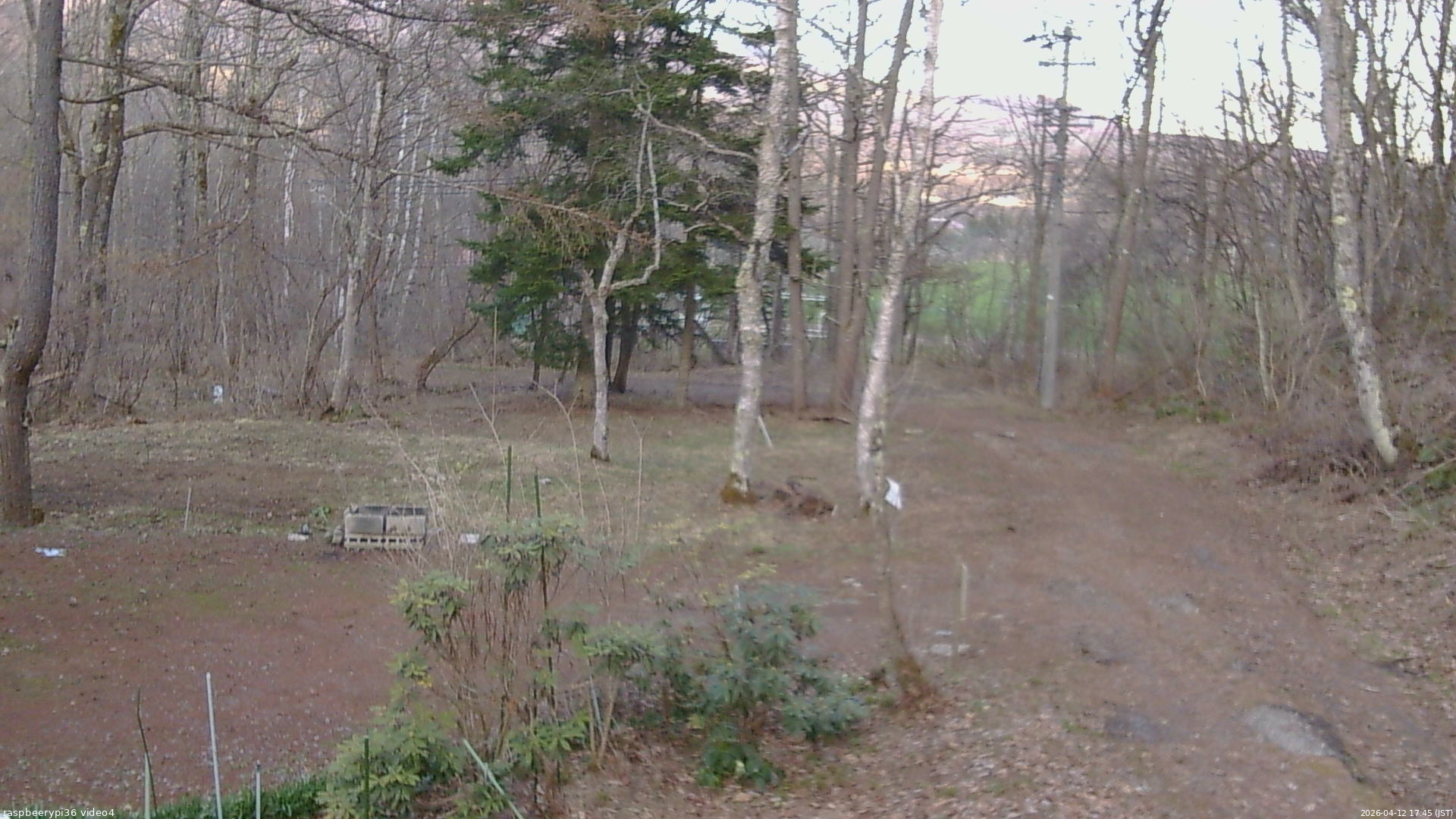 長野県菅平高原 ゆたか山荘 坂上 2026/04/12 17:45