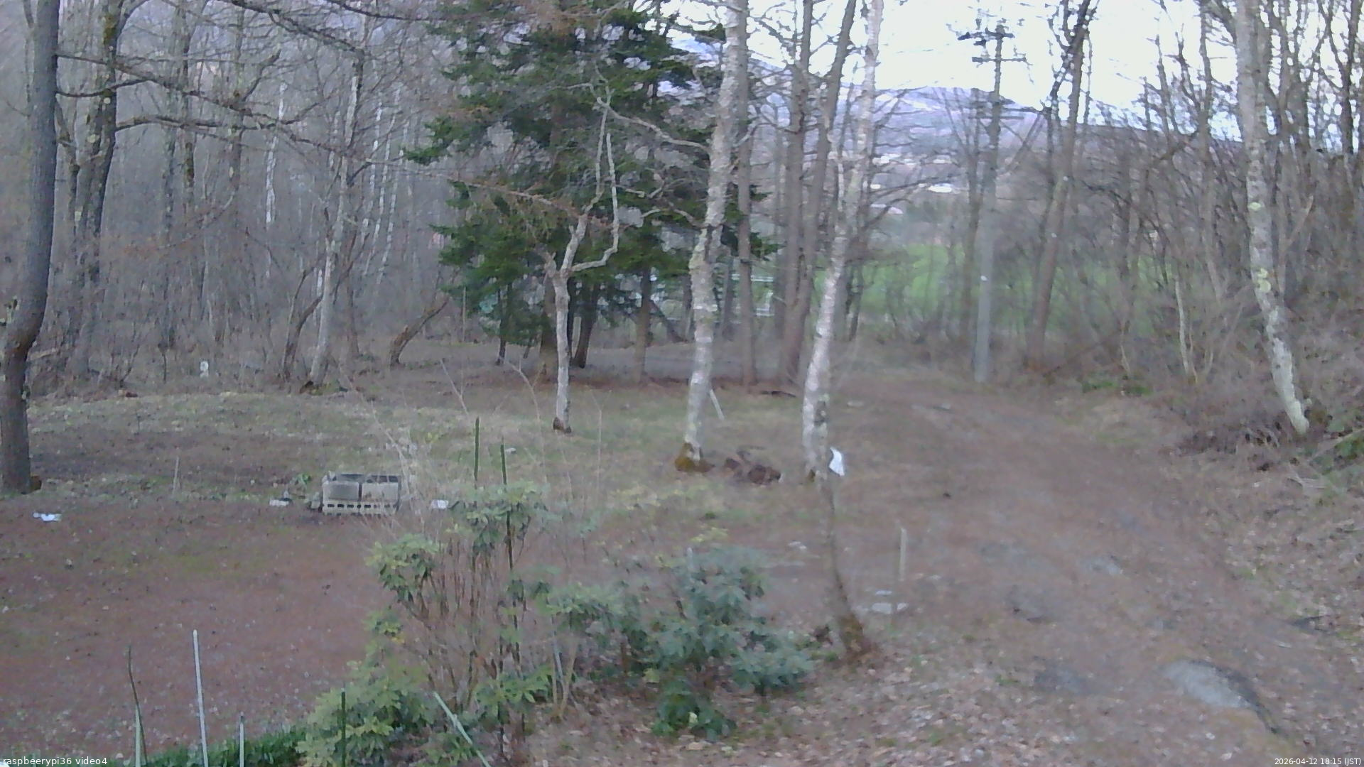 長野県菅平高原 ゆたか山荘 坂上 2026/04/12 18:15