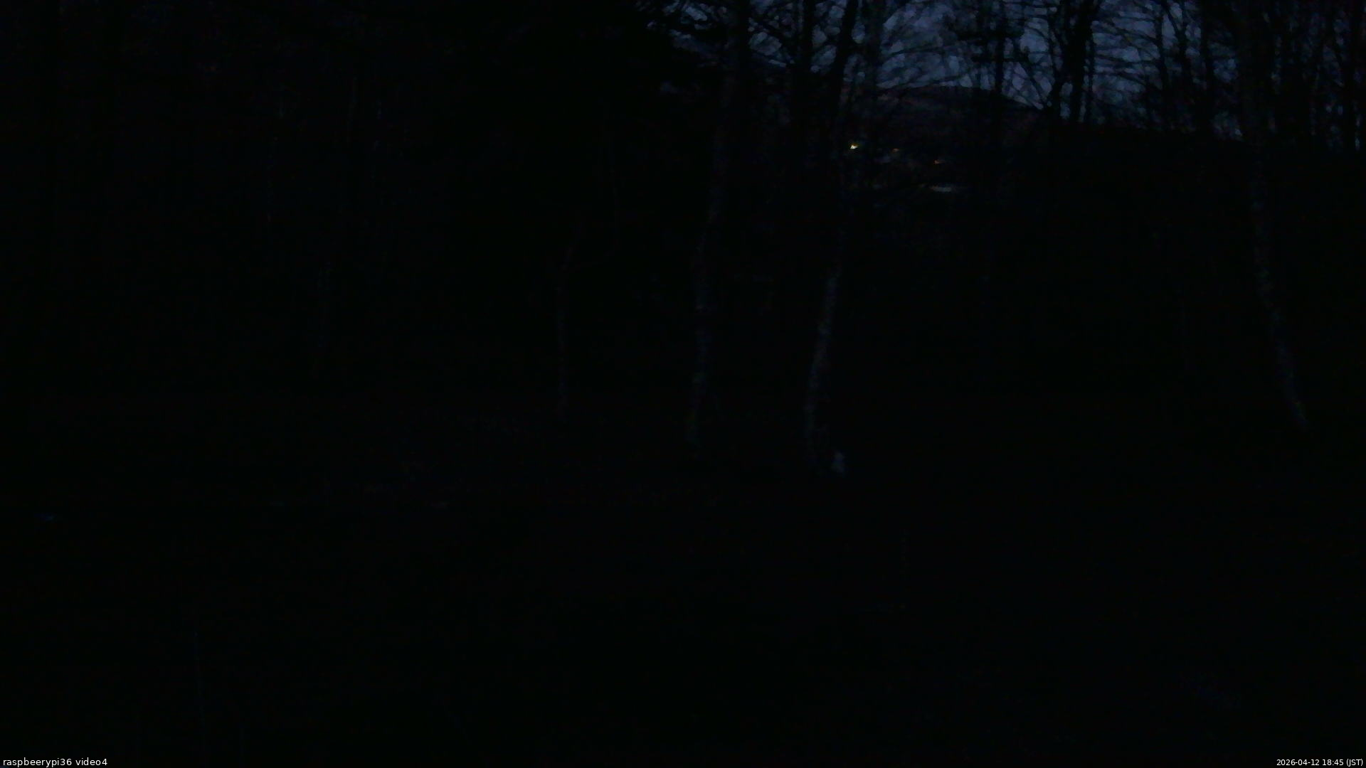 長野県菅平高原 ゆたか山荘 坂上 2026/04/12 18:45