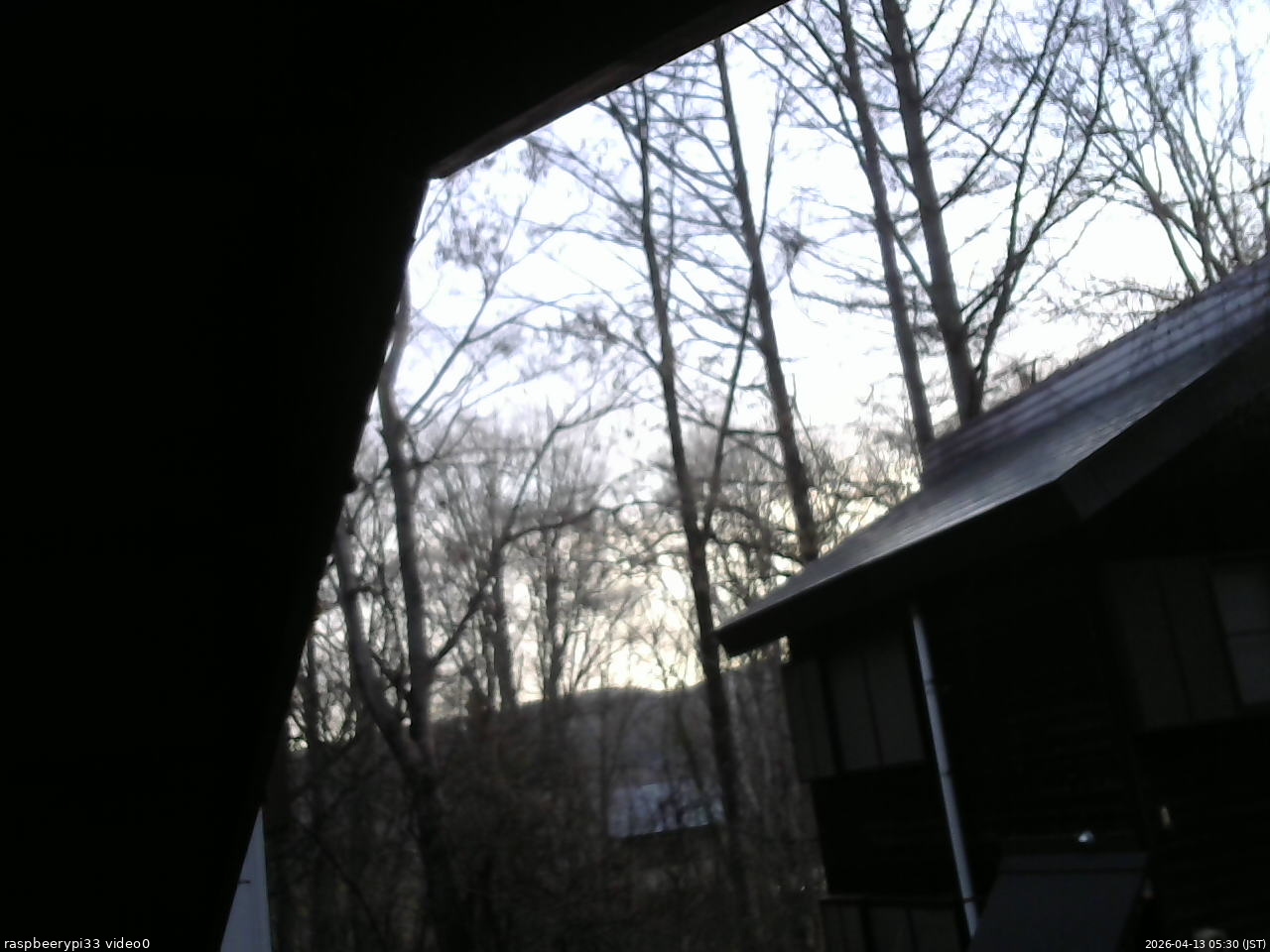 長野県菅平高原 ゆたか山荘 北側 2026/04/13 05:30