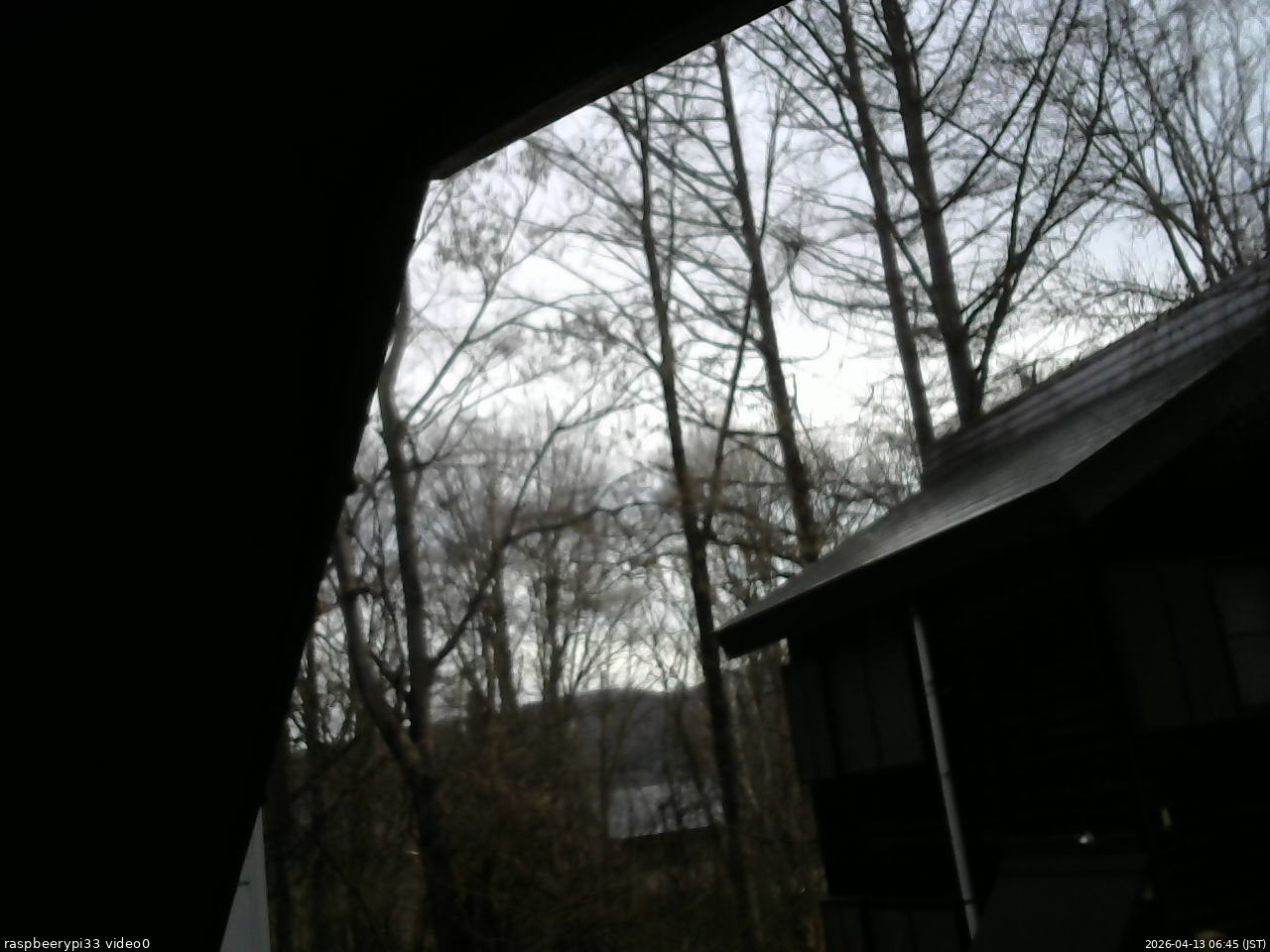 長野県菅平高原 ゆたか山荘 北側 2026/04/13 06:45