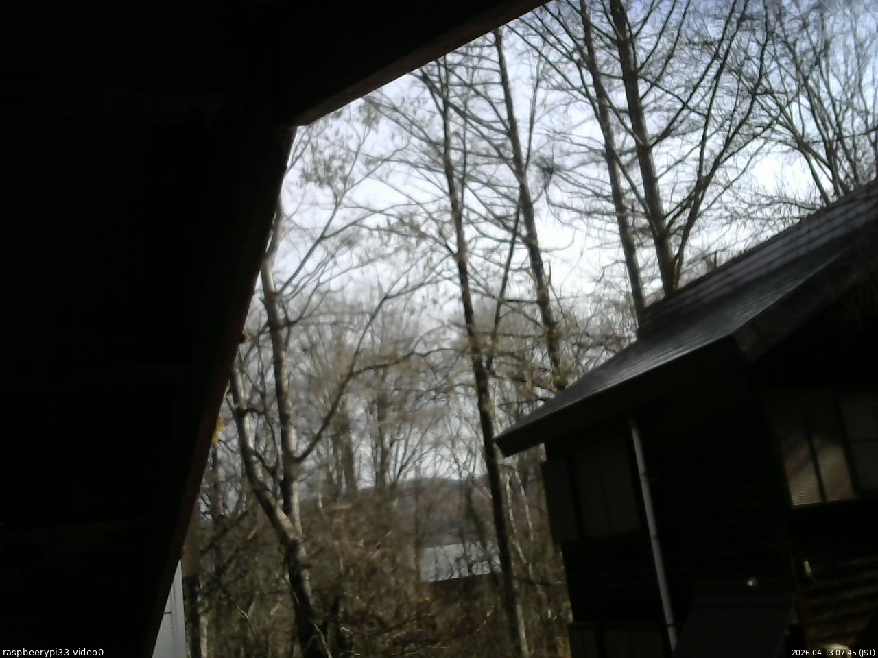 長野県菅平高原 ゆたか山荘 北側 2026/04/13 07:45