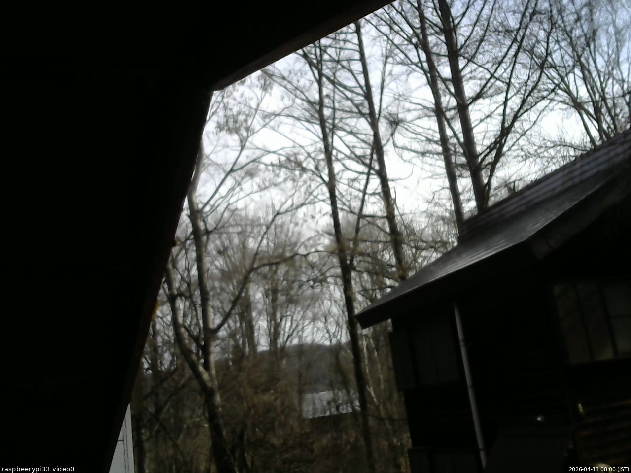 長野県菅平高原 ゆたか山荘 北側 2026/04/13 08:00