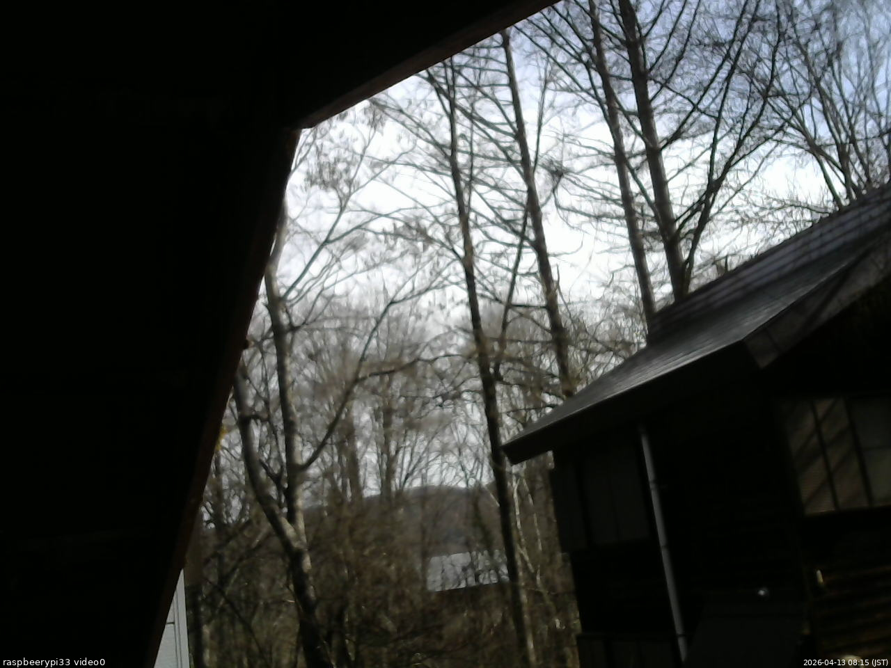 長野県菅平高原 ゆたか山荘 北側 2026/04/13 08:15