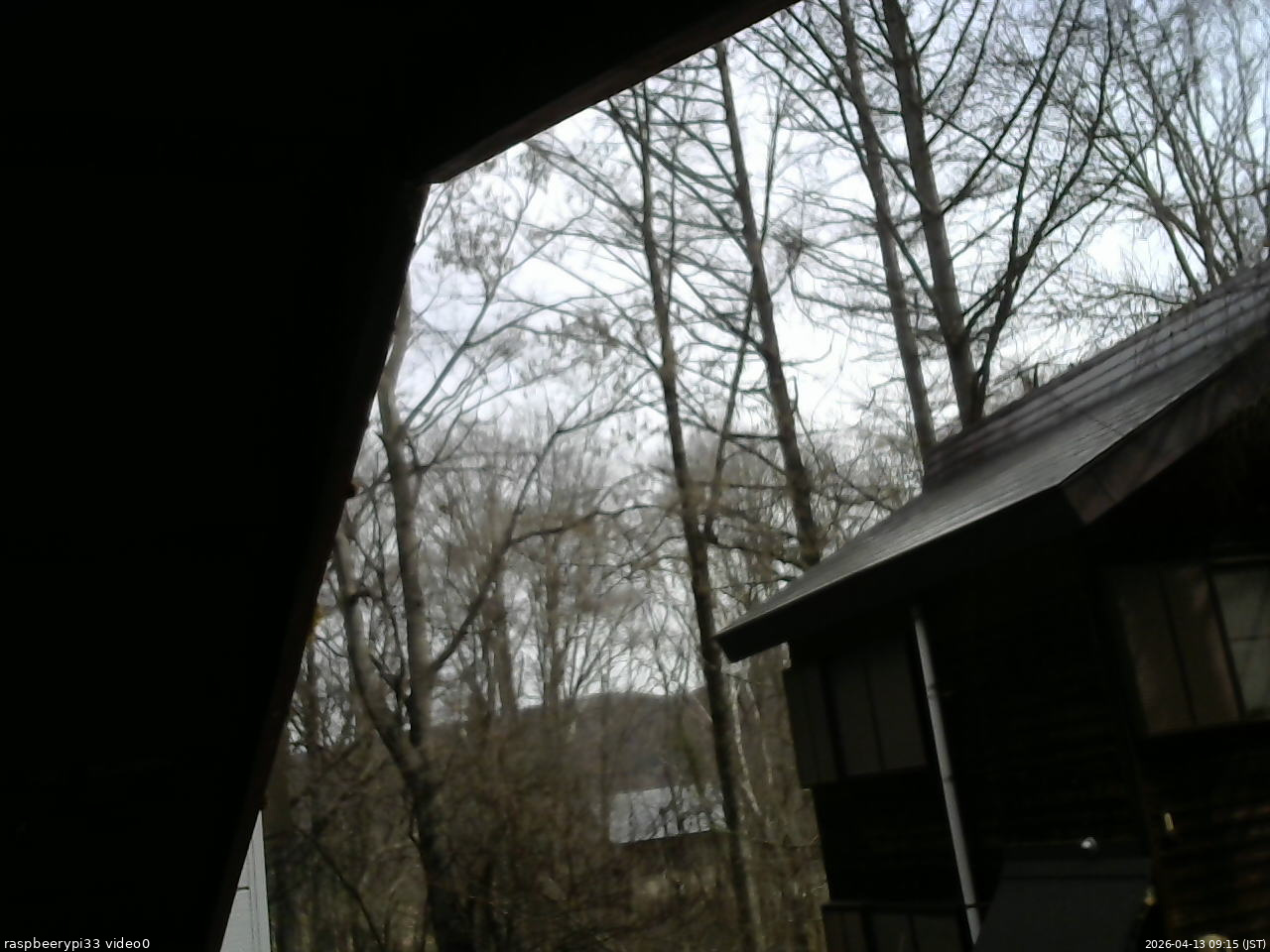 長野県菅平高原 ゆたか山荘 北側 2026/04/13 09:15