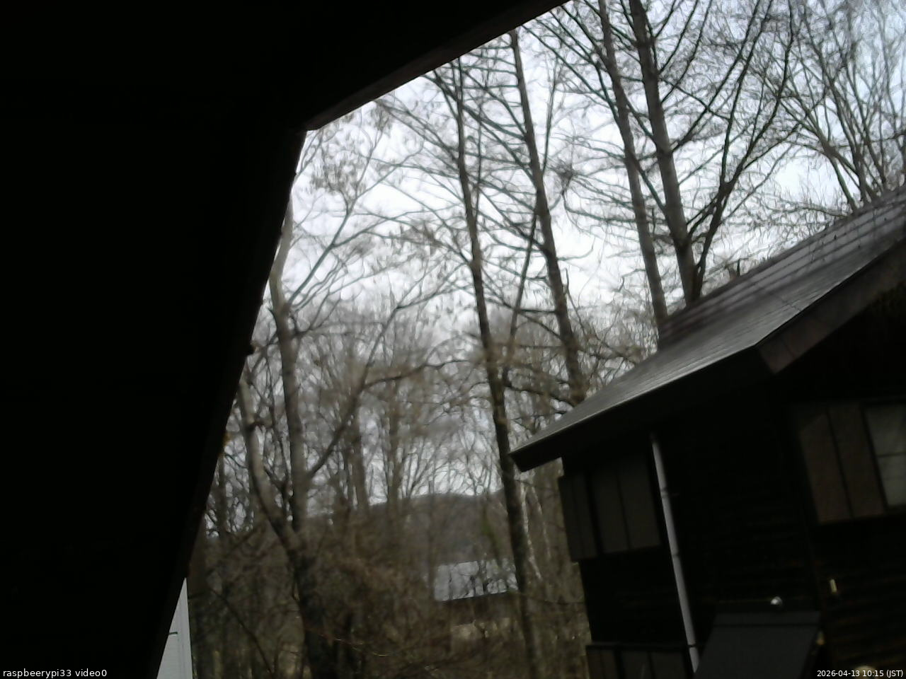 長野県菅平高原 ゆたか山荘 北側 2026/04/13 10:15