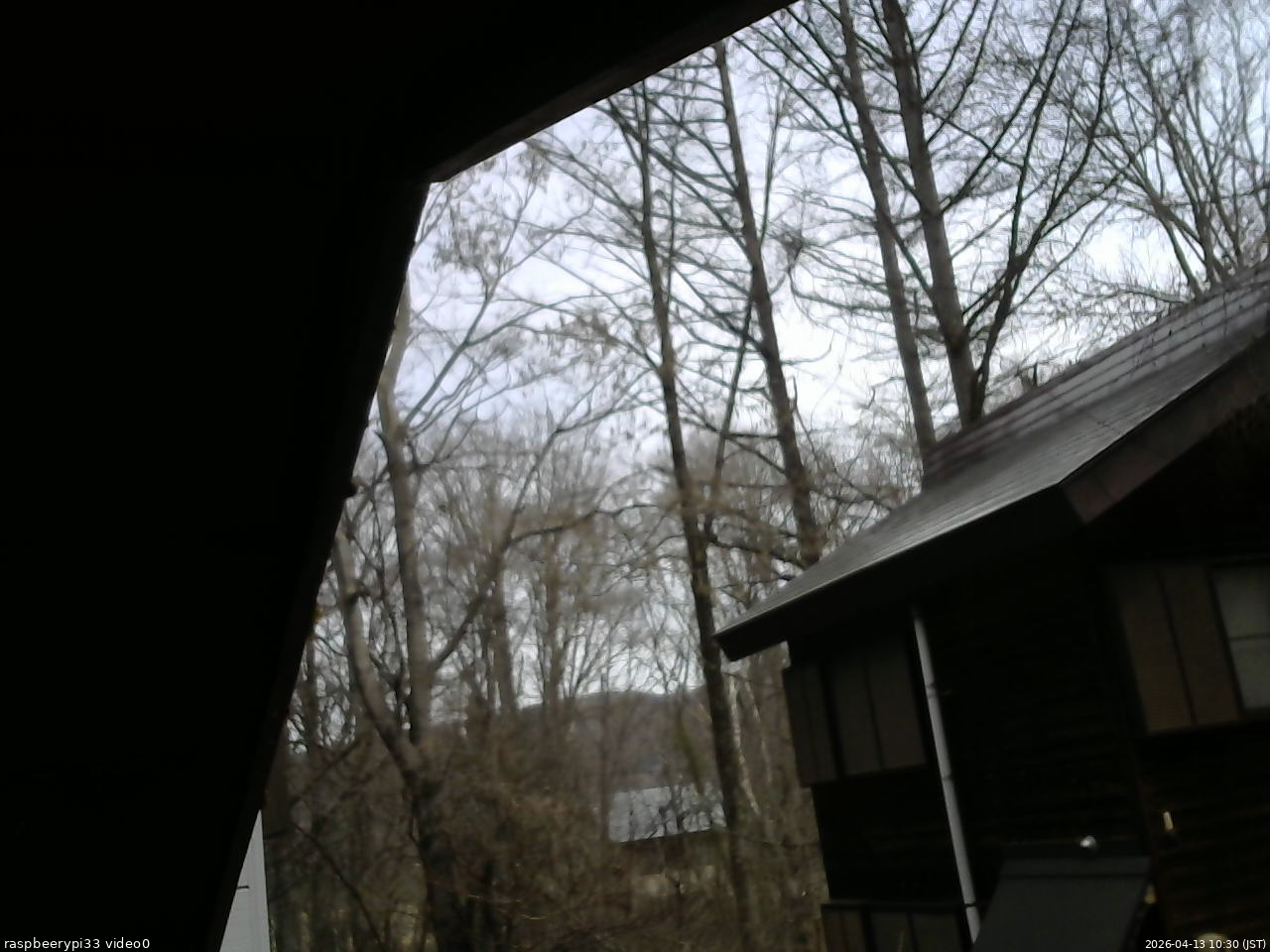 長野県菅平高原 ゆたか山荘 北側 2026/04/13 10:30