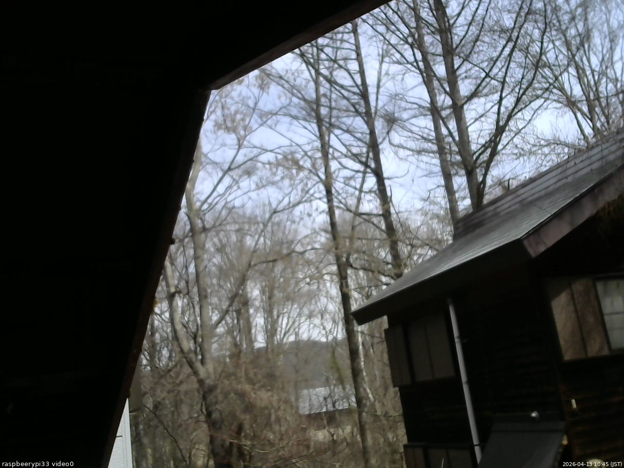 長野県菅平高原 ゆたか山荘 北側 2026/04/13 10:45