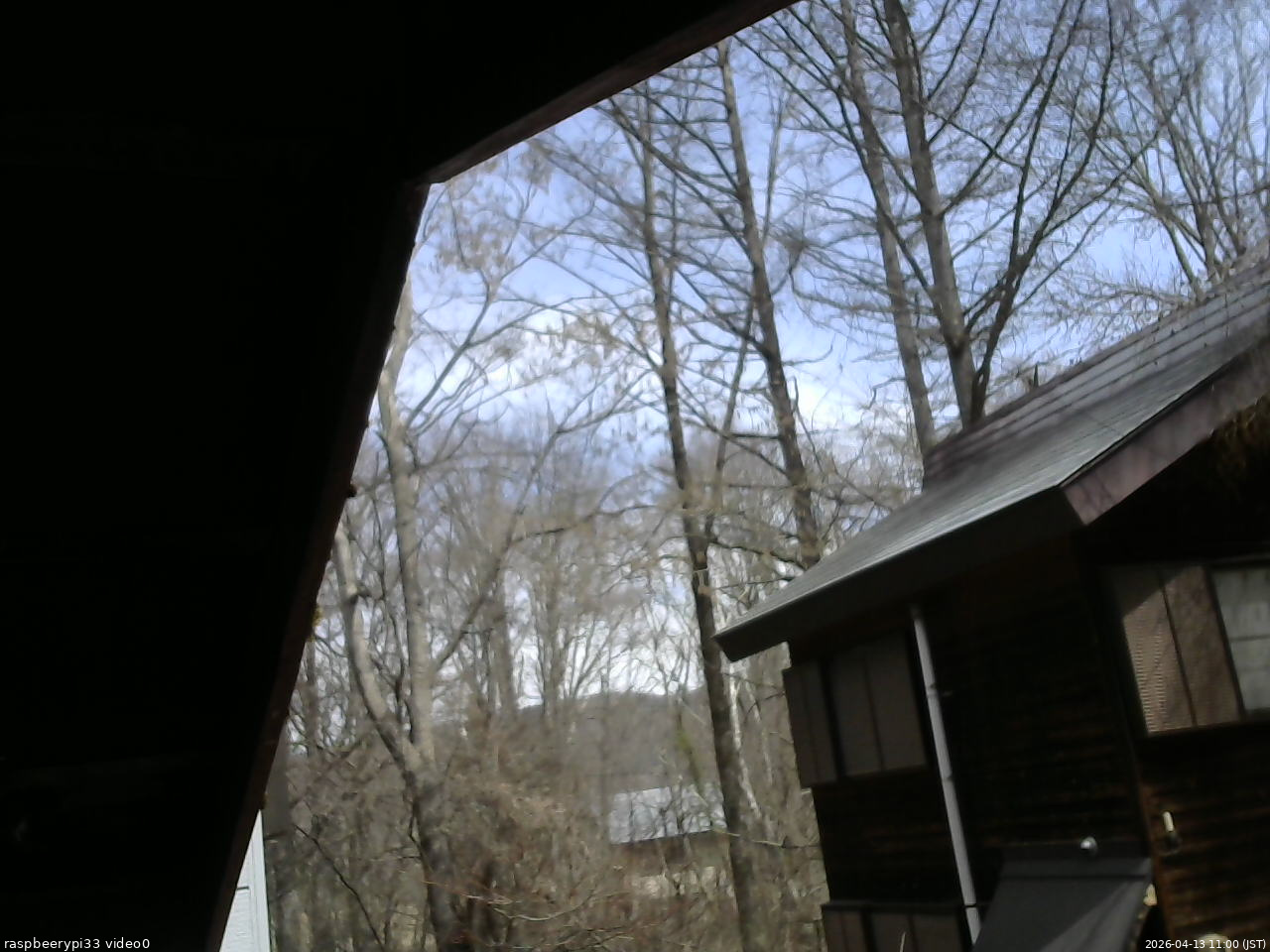 長野県菅平高原 ゆたか山荘 北側 2026/04/13 11:00