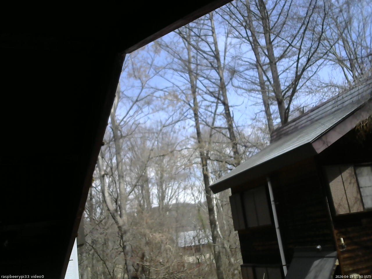 長野県菅平高原 ゆたか山荘 北側 2026/04/13 11:30