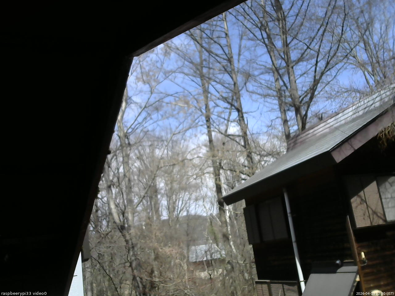 長野県菅平高原 ゆたか山荘 北側 2026/04/13 12:30