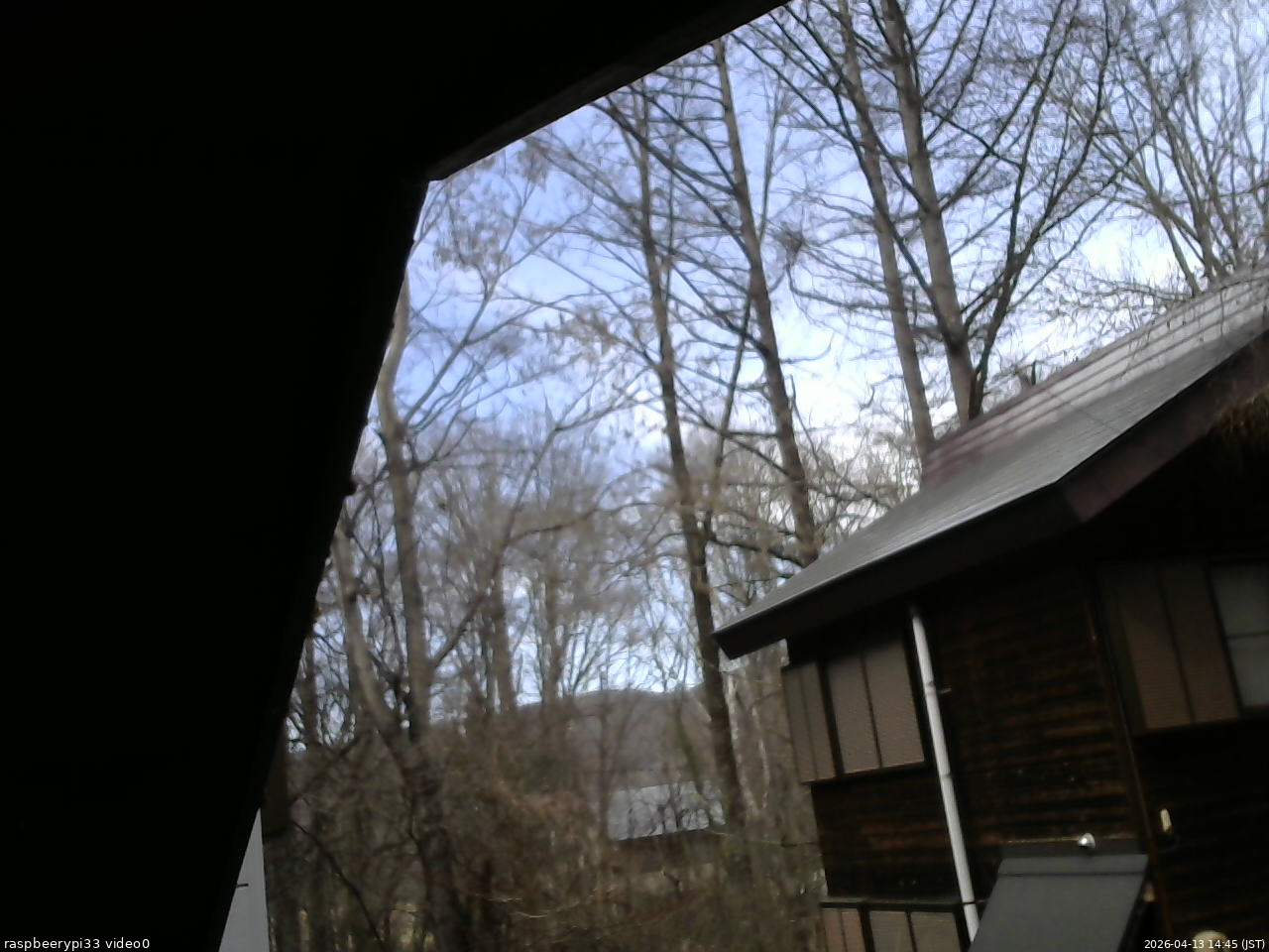 長野県菅平高原 ゆたか山荘 北側 2026/04/13 14:45