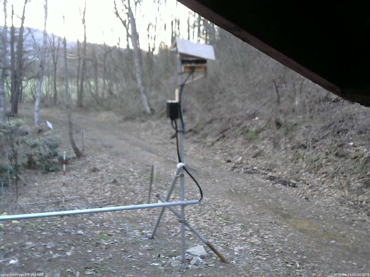 長野県菅平高原 ゆたか山荘 南側 2026/04/13 05:30