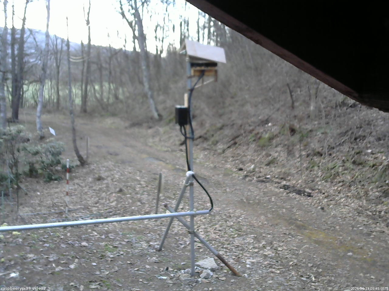 長野県菅平高原 ゆたか山荘 南側 2026/04/13 05:45