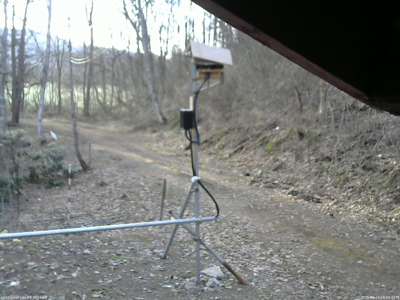 長野県菅平高原 ゆたか山荘 南側 2026/04/13 06:00
