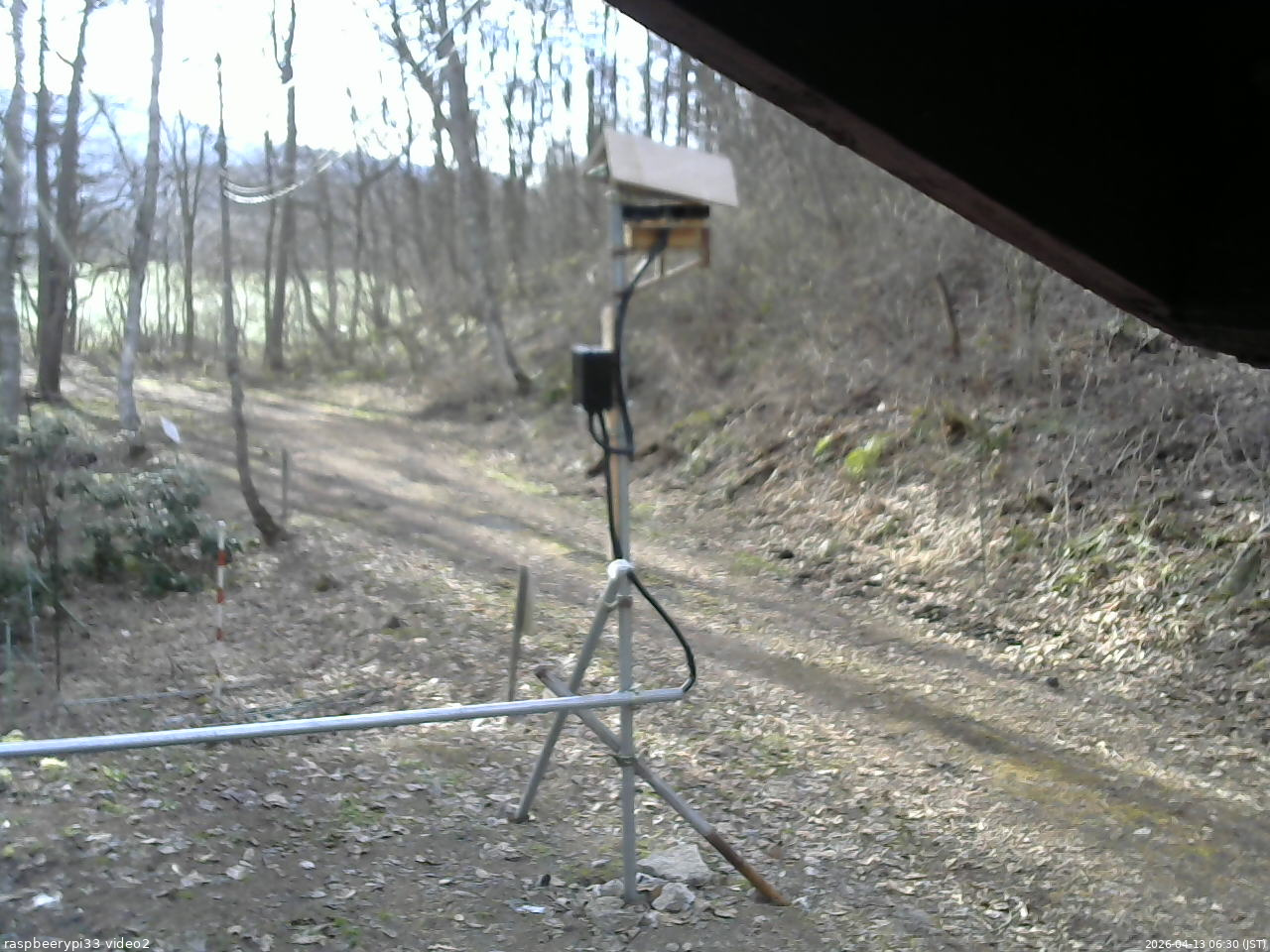 長野県菅平高原 ゆたか山荘 南側 2026/04/13 06:30