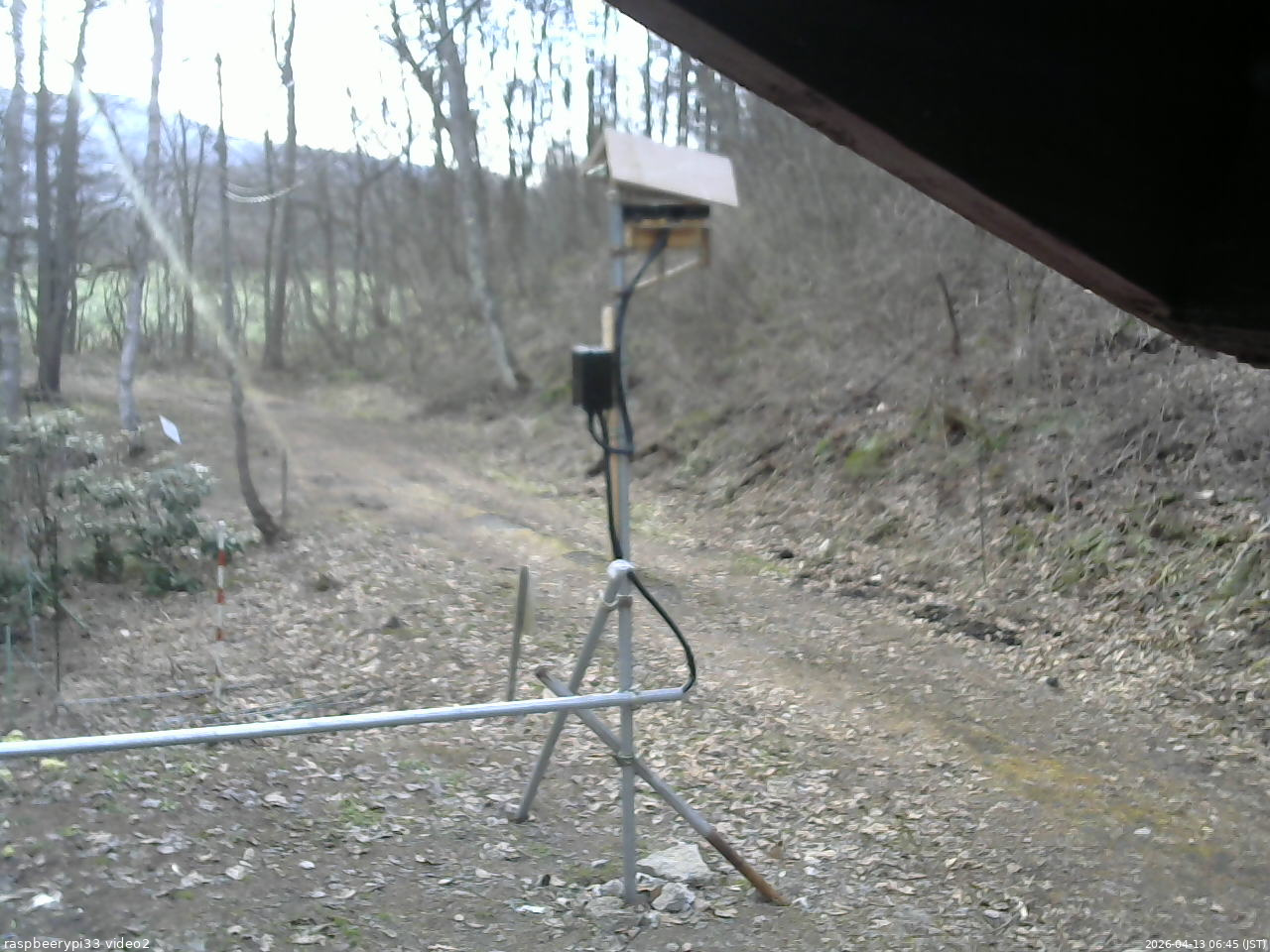 長野県菅平高原 ゆたか山荘 南側 2026/04/13 06:45
