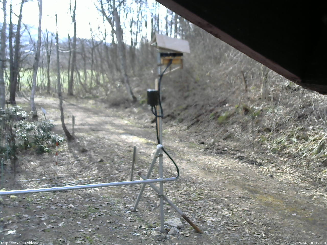 長野県菅平高原 ゆたか山荘 南側 2026/04/13 07:15