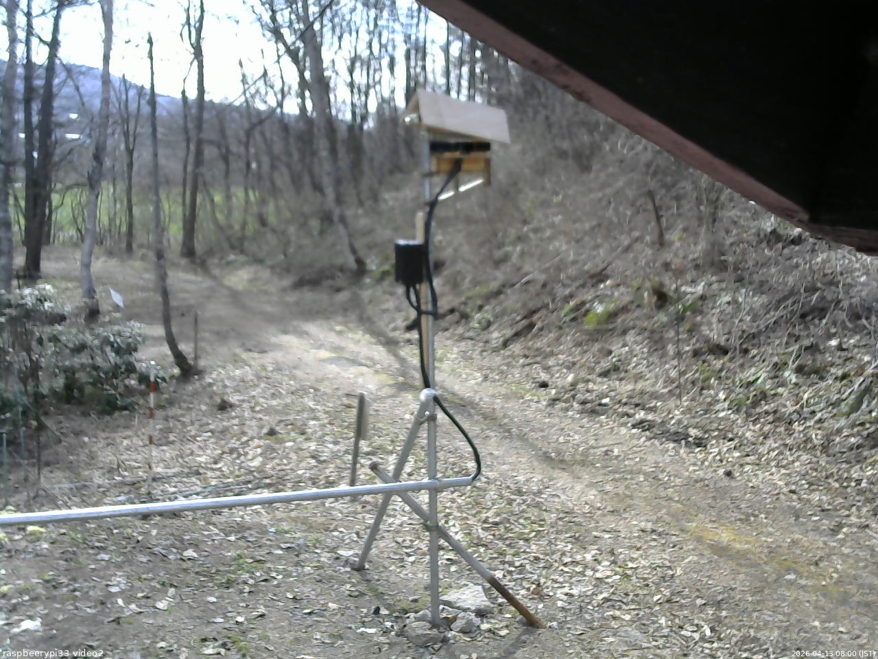 長野県菅平高原 ゆたか山荘 南側 2026/04/13 08:00