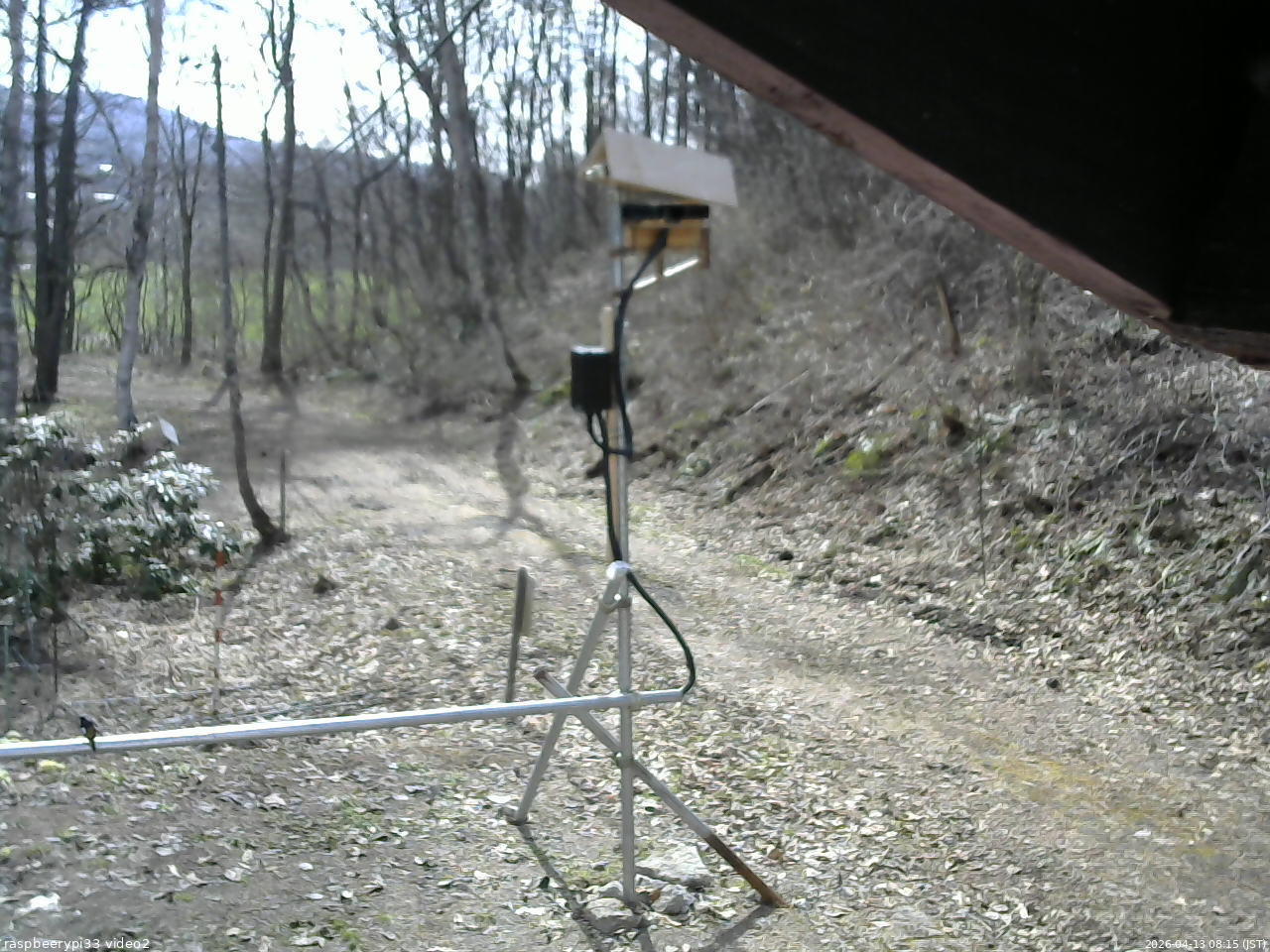 長野県菅平高原 ゆたか山荘 南側 2026/04/13 08:15