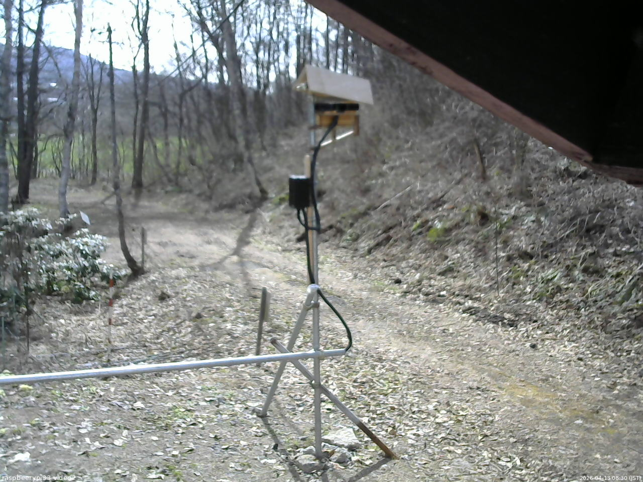 長野県菅平高原 ゆたか山荘 南側 2026/04/13 08:30