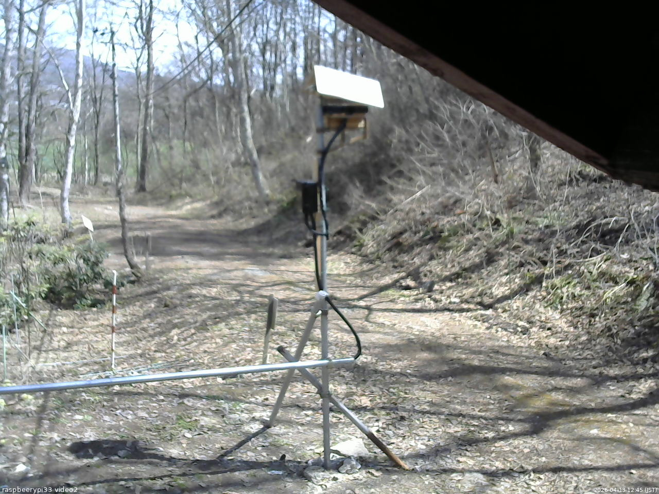 長野県菅平高原 ゆたか山荘 南側 2026/04/13 12:45